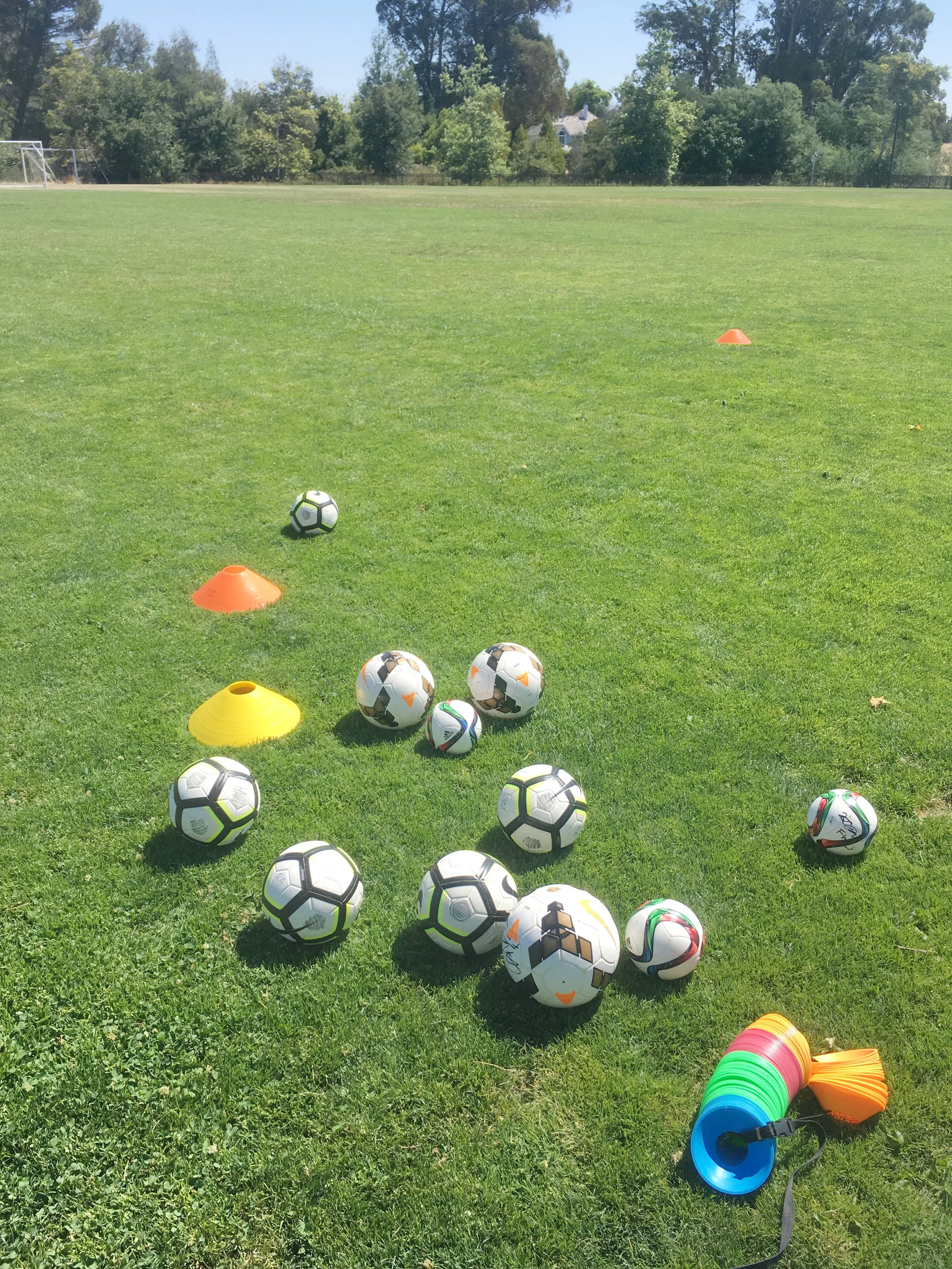 Soccer balls organized on a grassy field with orange and yellow training cones and colorful disc cones in the foreground.