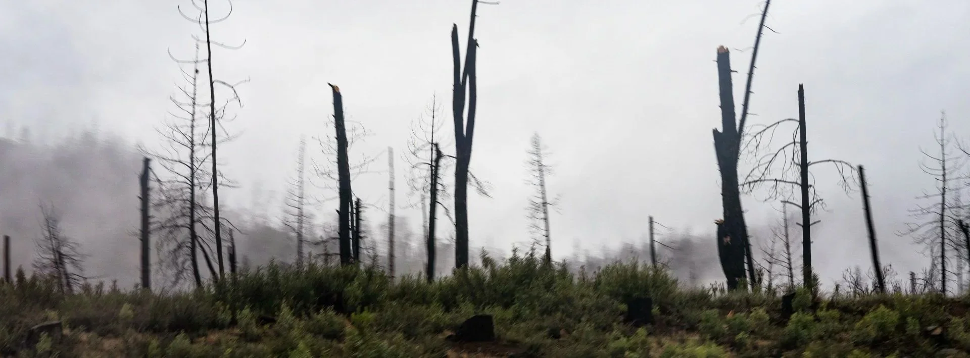  Remnants of a forest fire along I-5 in California in June of 2022. There is an emerging concern that autonomous trucking could increase total petroleum consumption by changing the way freight is moved throughout the transportation industry and incre