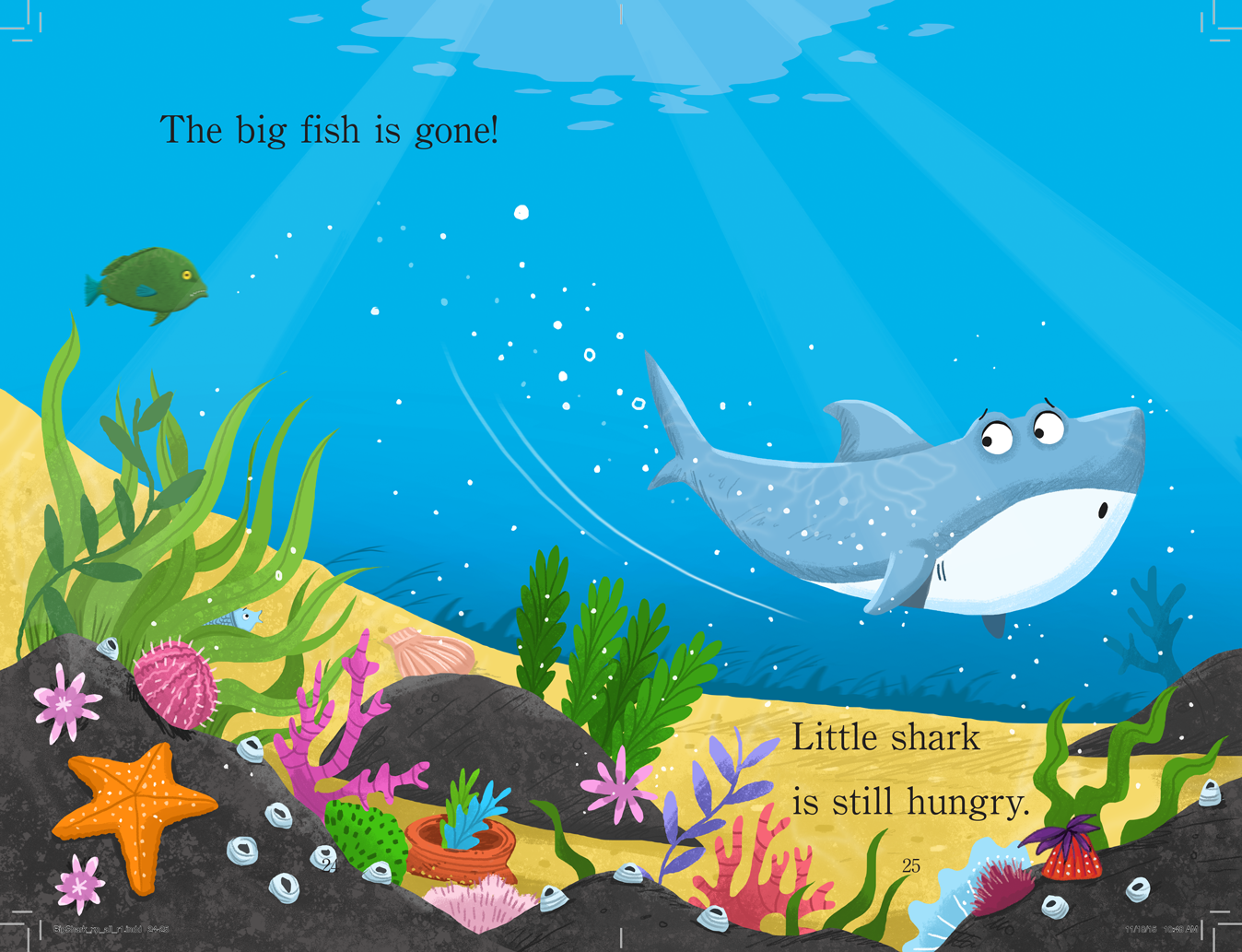 BigShark_xp_layouts_r1.pdf-13.png
