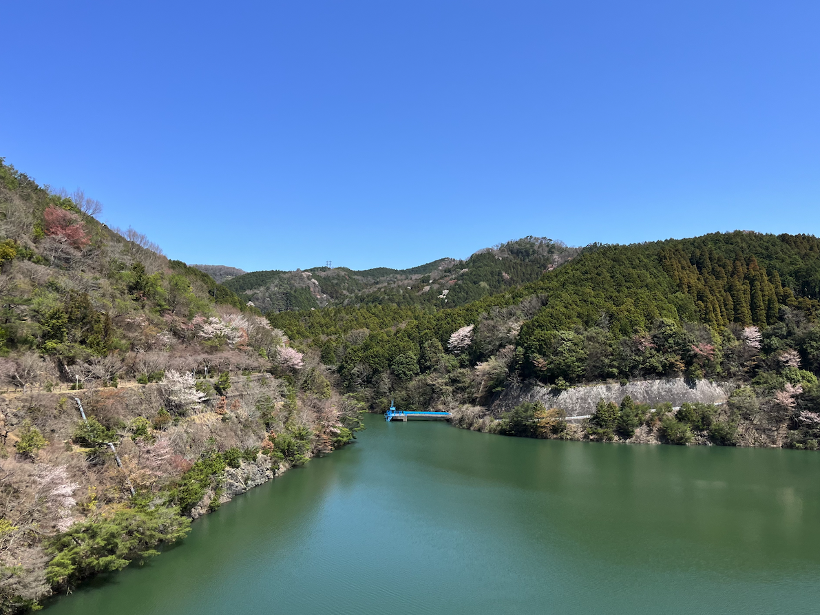 Screenshot 2026-01-15 at 9.55.26.png