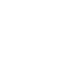 Asset 1.png