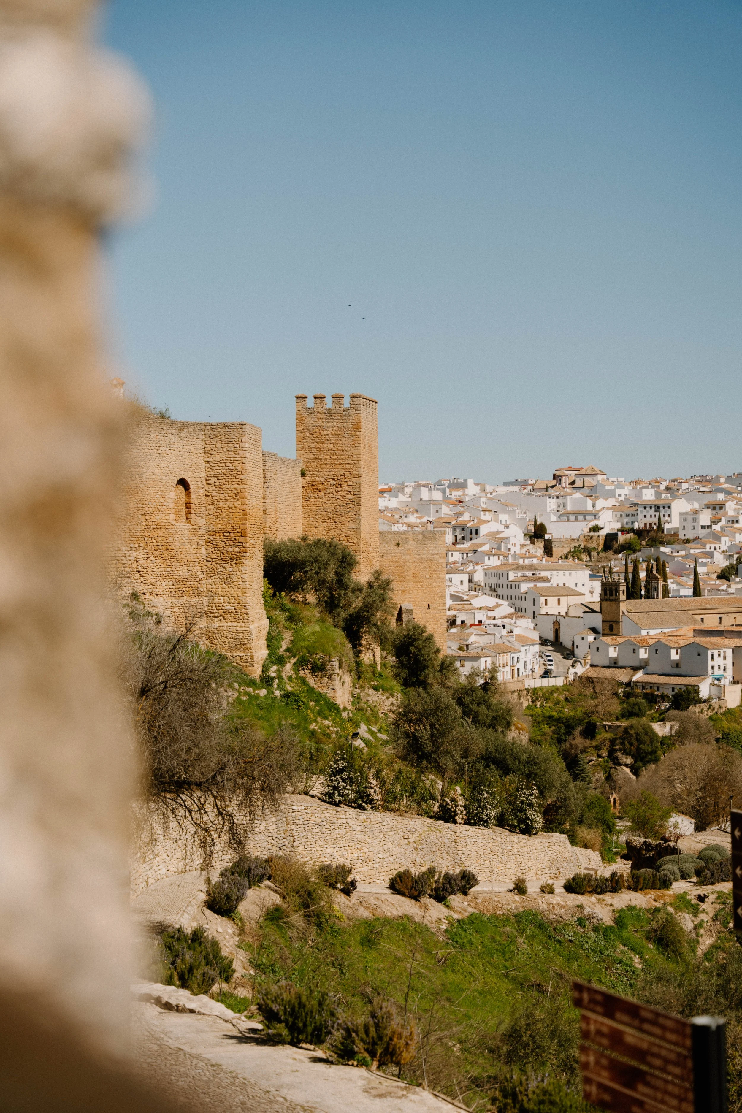 VW Grand Cali 00048.jpg