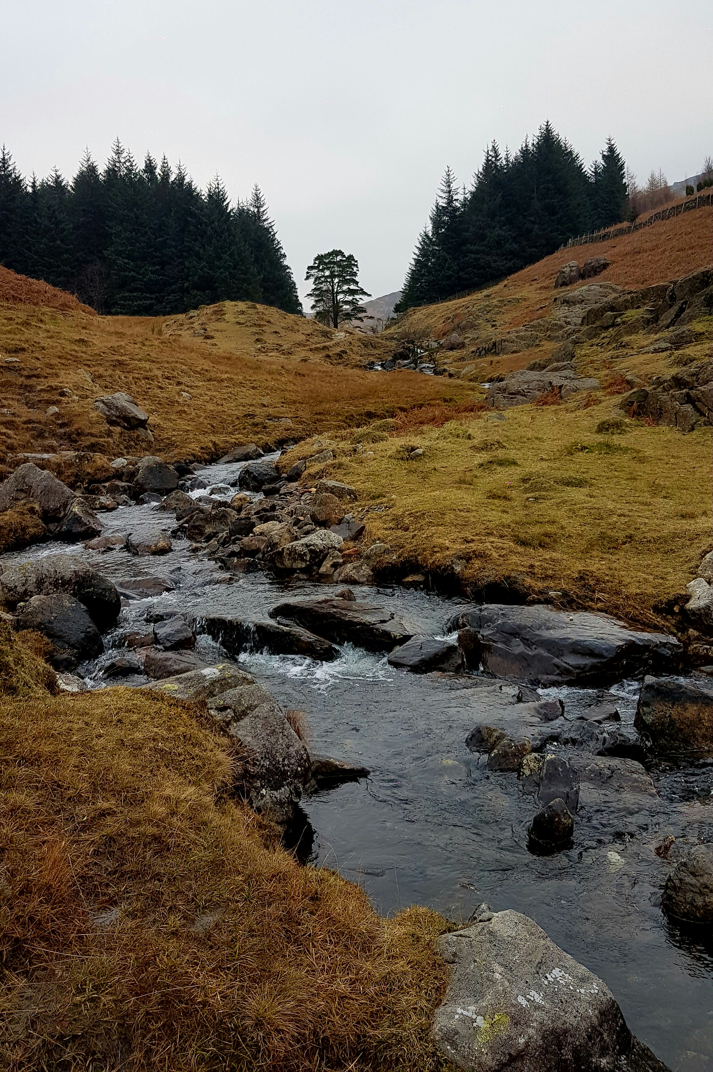 20161230_221405.jpg