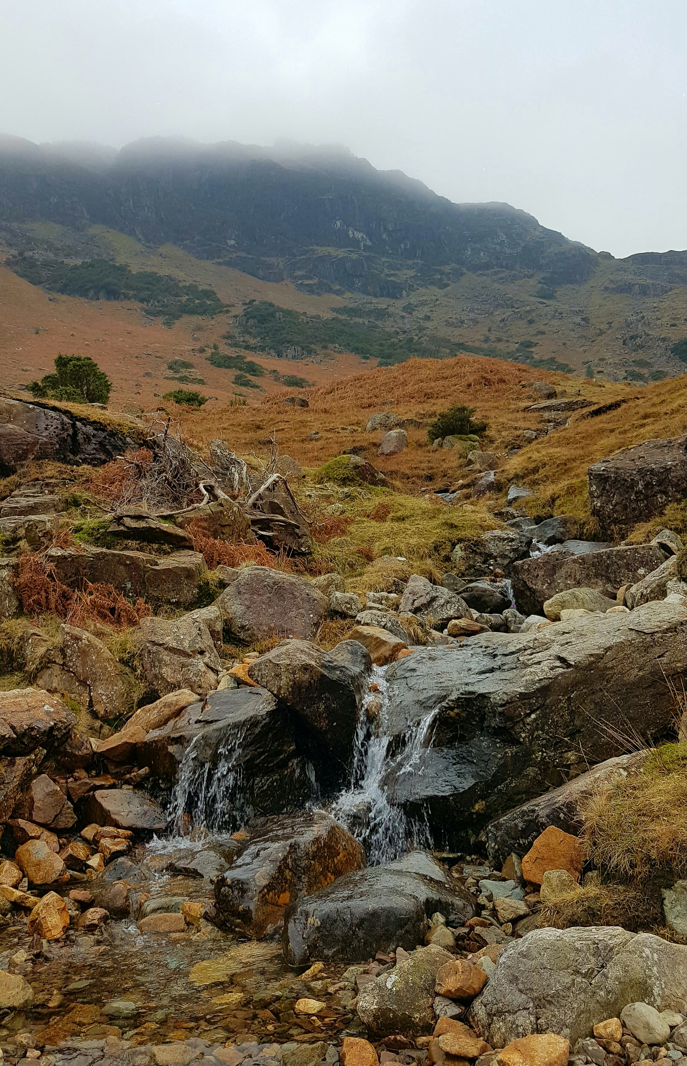 20161230_221438.jpg