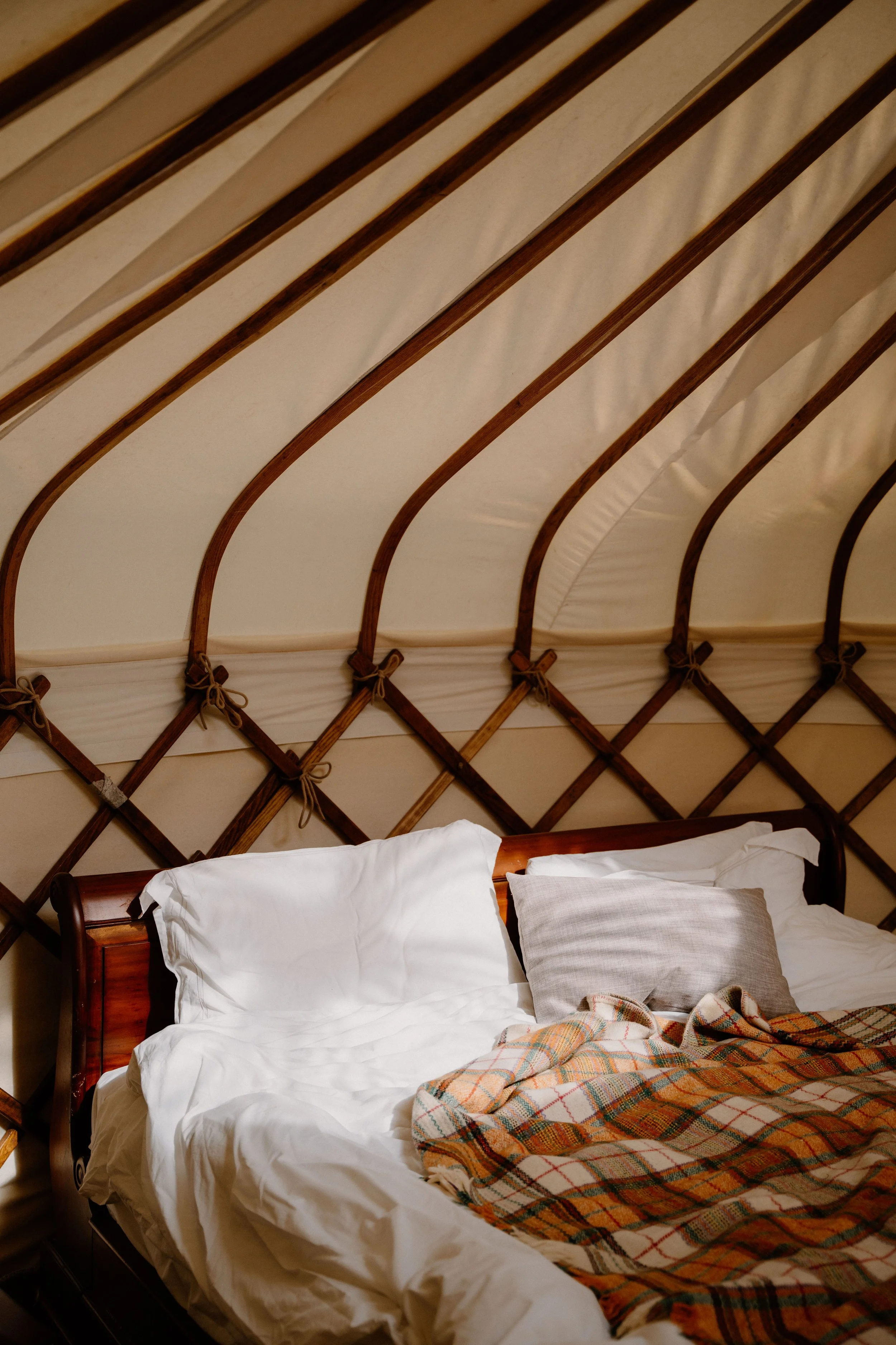 AB Devon Yurt-26.jpg