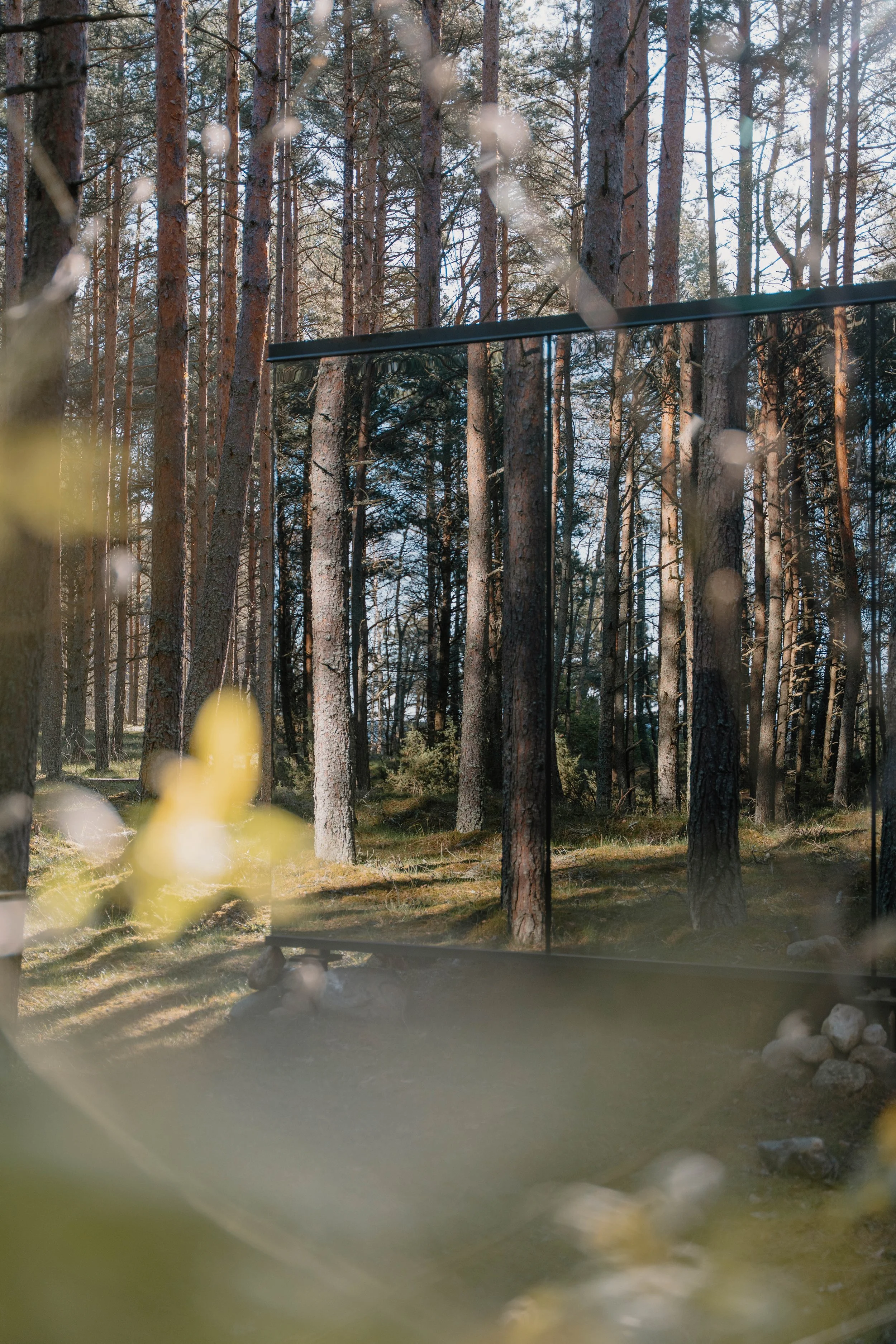 AB x Visit Estonia - 00094.jpg