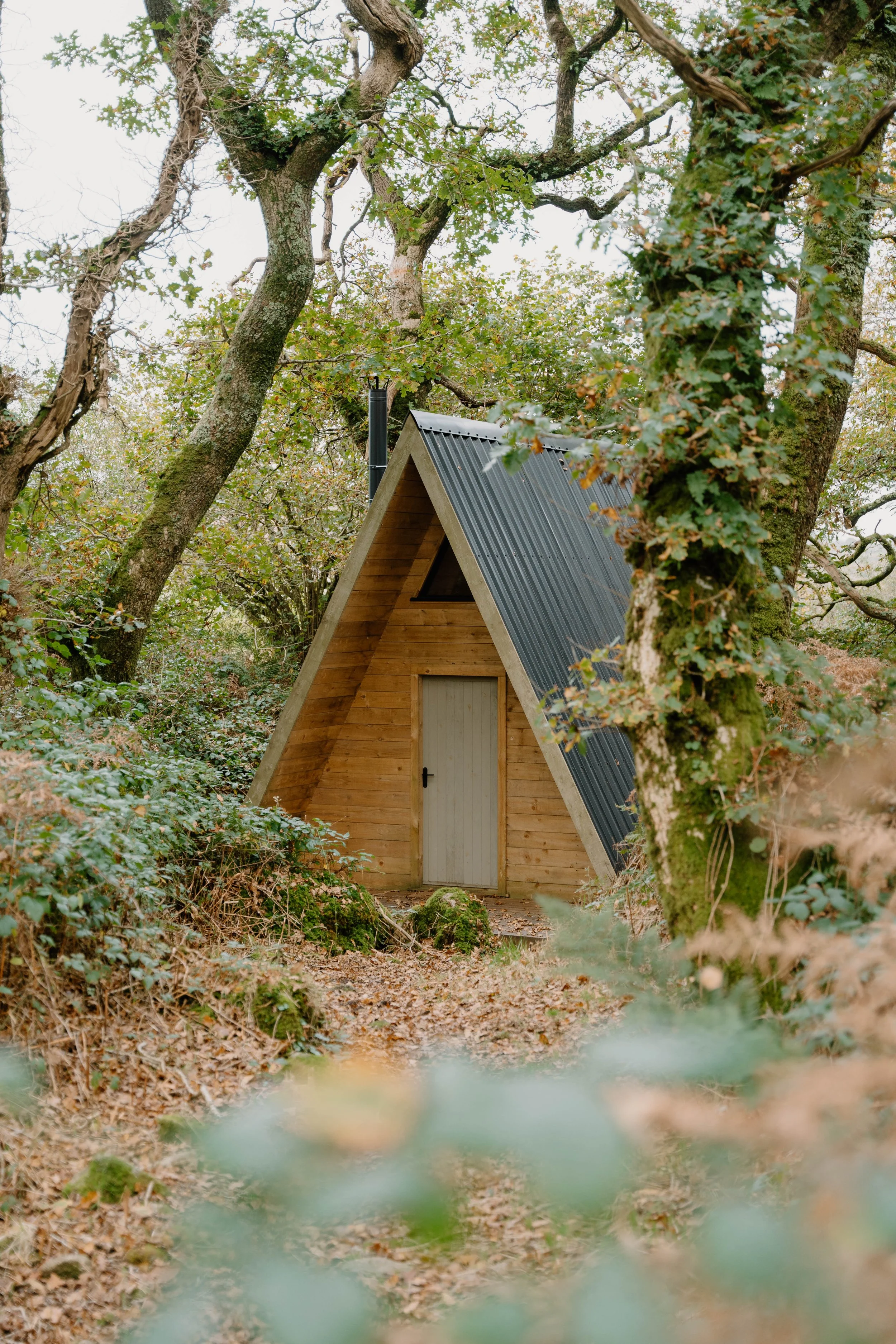 AB Rainforest Retreat-1.jpg