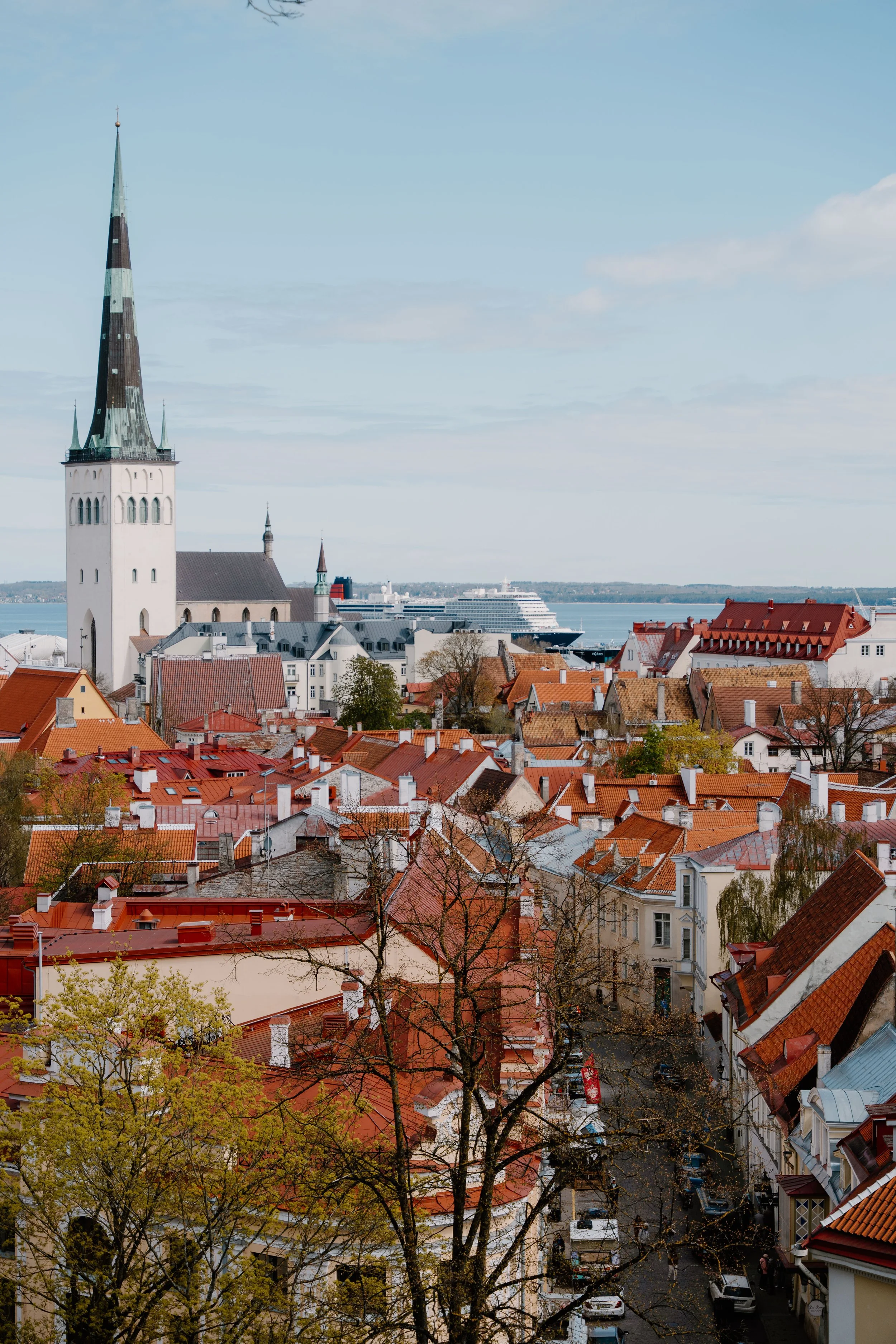 AB x Visit Estonia - 00159.jpg