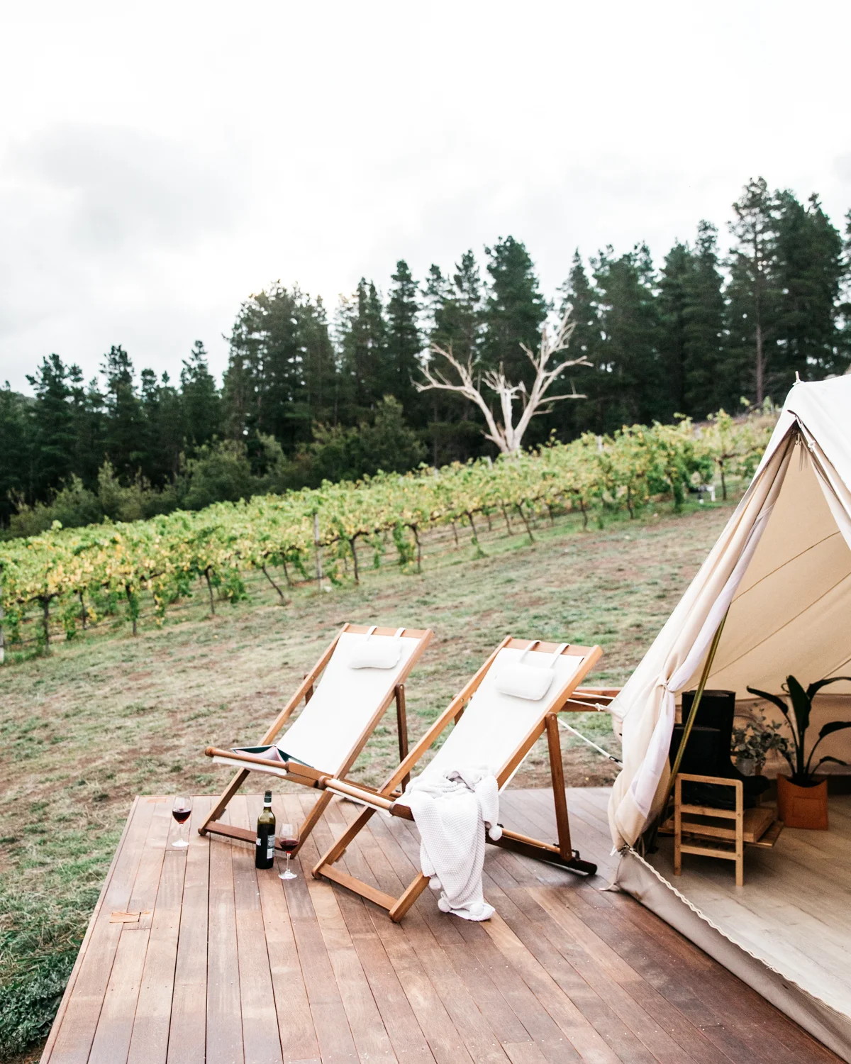 story — cubby and co