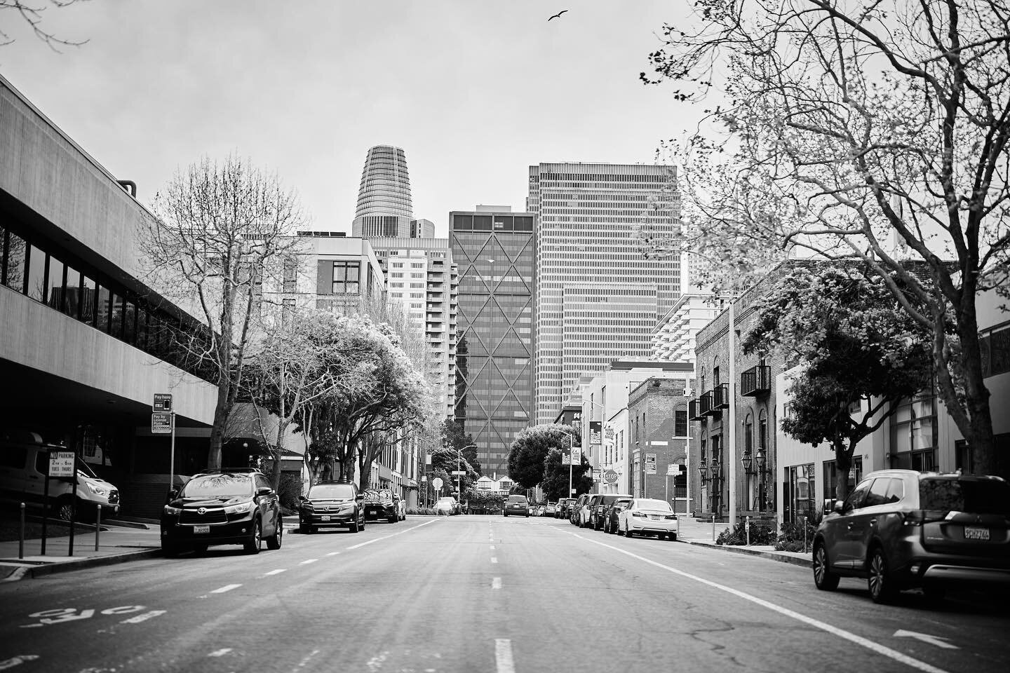 Empty.

#travel #nature #travelphotography #photography #love #empty #cars #travelgram #urban #usa #beautiful #photo #wanderlust #naturephotography #adventure #art #california #instatravel #landscape #sanfrancisco #spring #explore #trip #vacation #bu