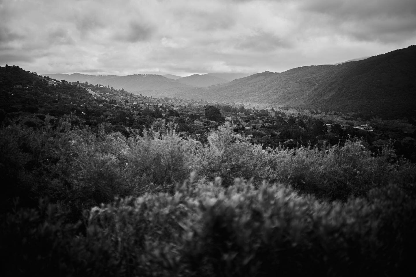 Carmel.
#naturephotography #streetphotography #paradise #rural #california #calm #sf #landscape #marina #usa #fun #blackandwhite #ers #love #photography #carmelvalley #travel #sony #bigsur #art #silhouette #sun #lights #green #art #carmelbythesea #ni