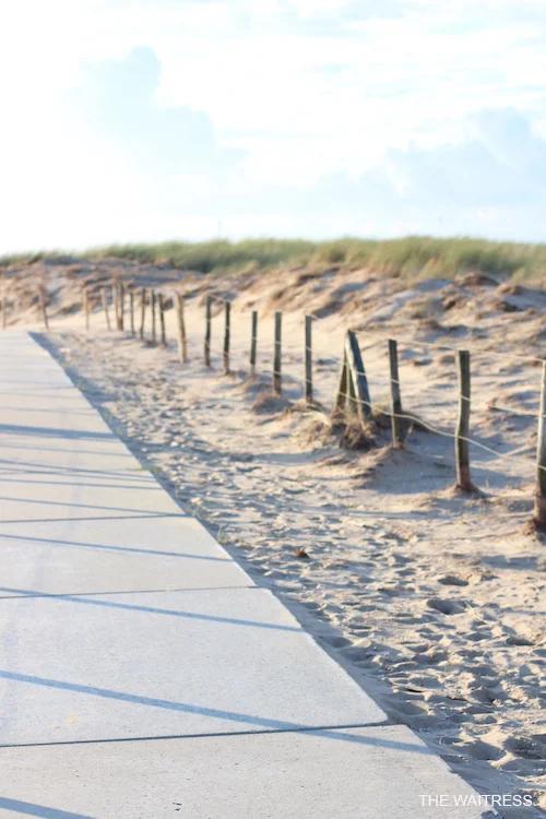 duenen-in-nordwijk-holland-thewaitress-blog.jpg