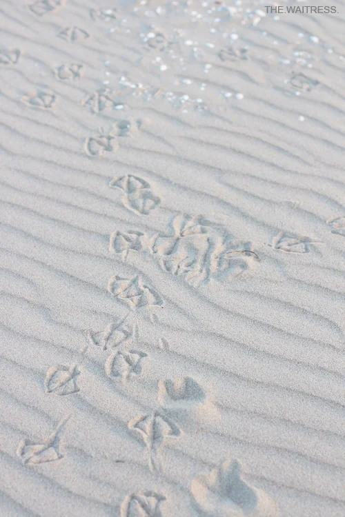 Wellness wie am Meer / Theresa Kellner