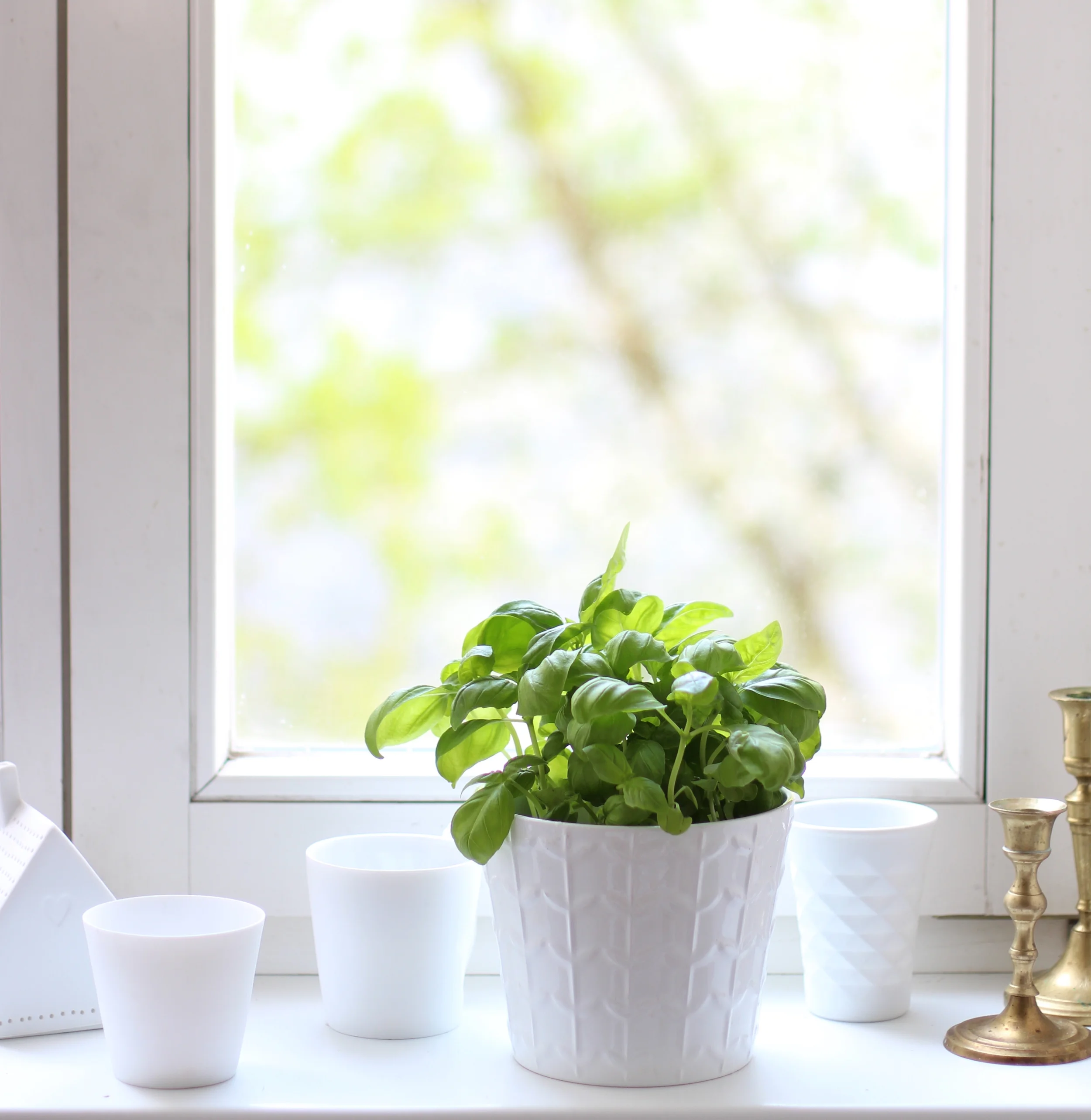 GLÜCKsbringer im Juni 2018