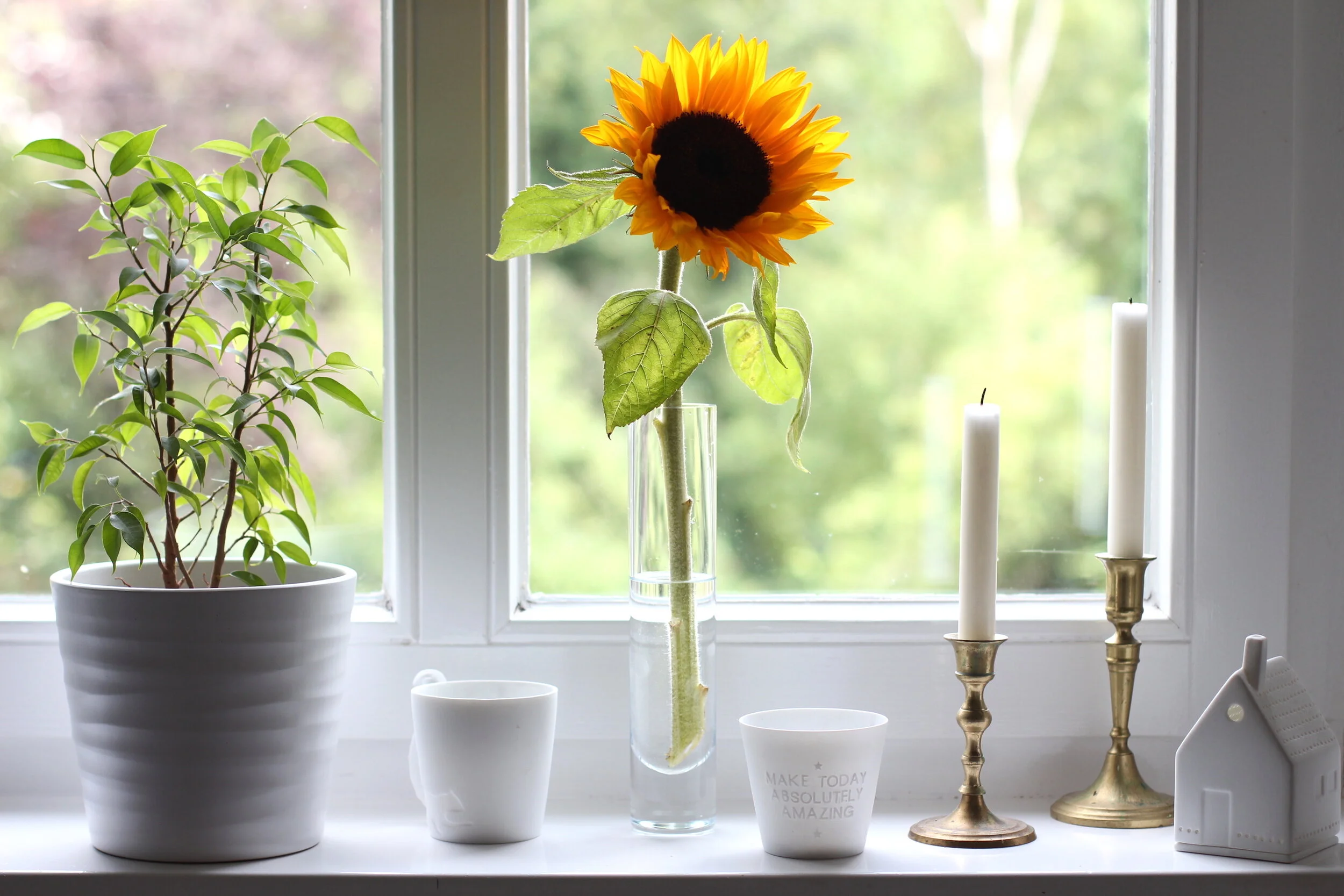 GLÜCKsbringer im Juni 2020