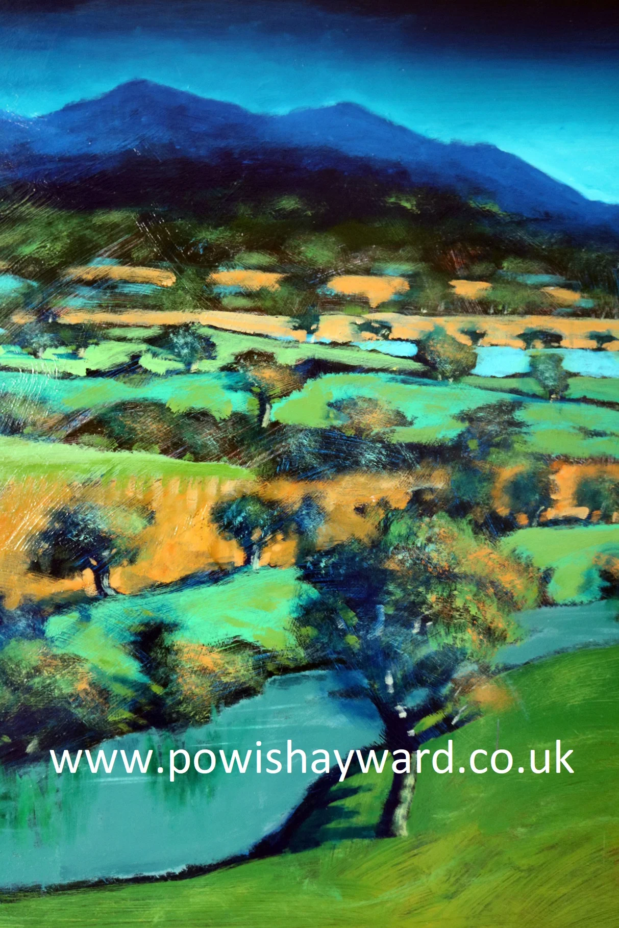 malverns detail 139x97 £3000.jpg