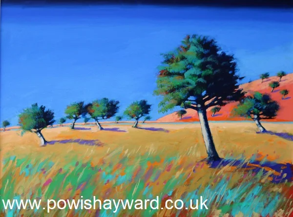 PP ALMOND TREES 80X60 LR.jpg