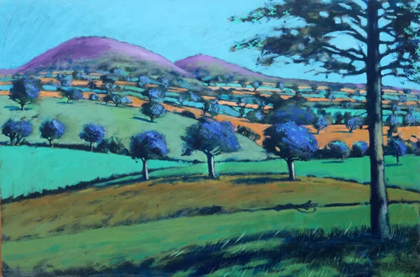 towards north hill.jpg