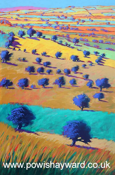 COTSWOLDS TOWARDS BREDON WM.jpg