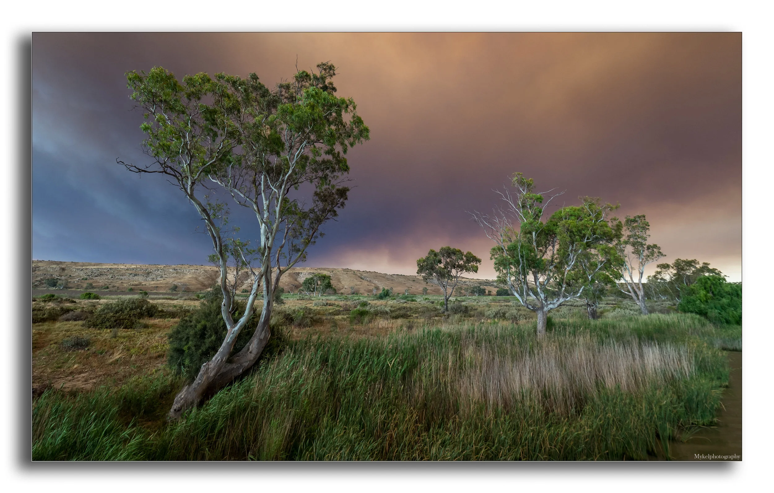 PB250151-Edit.jpg