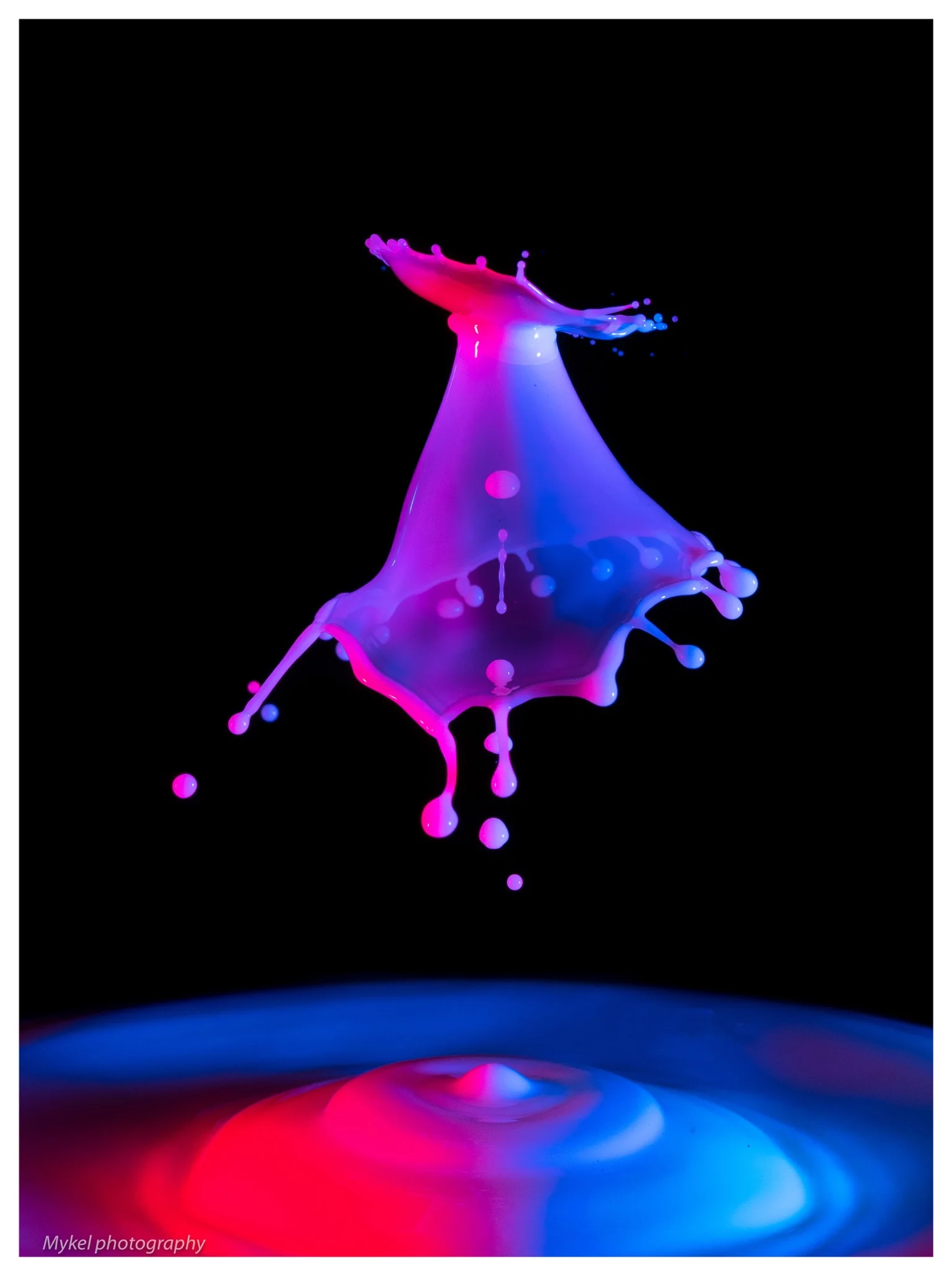 27377173984_842e0e52f5_o.jpg
