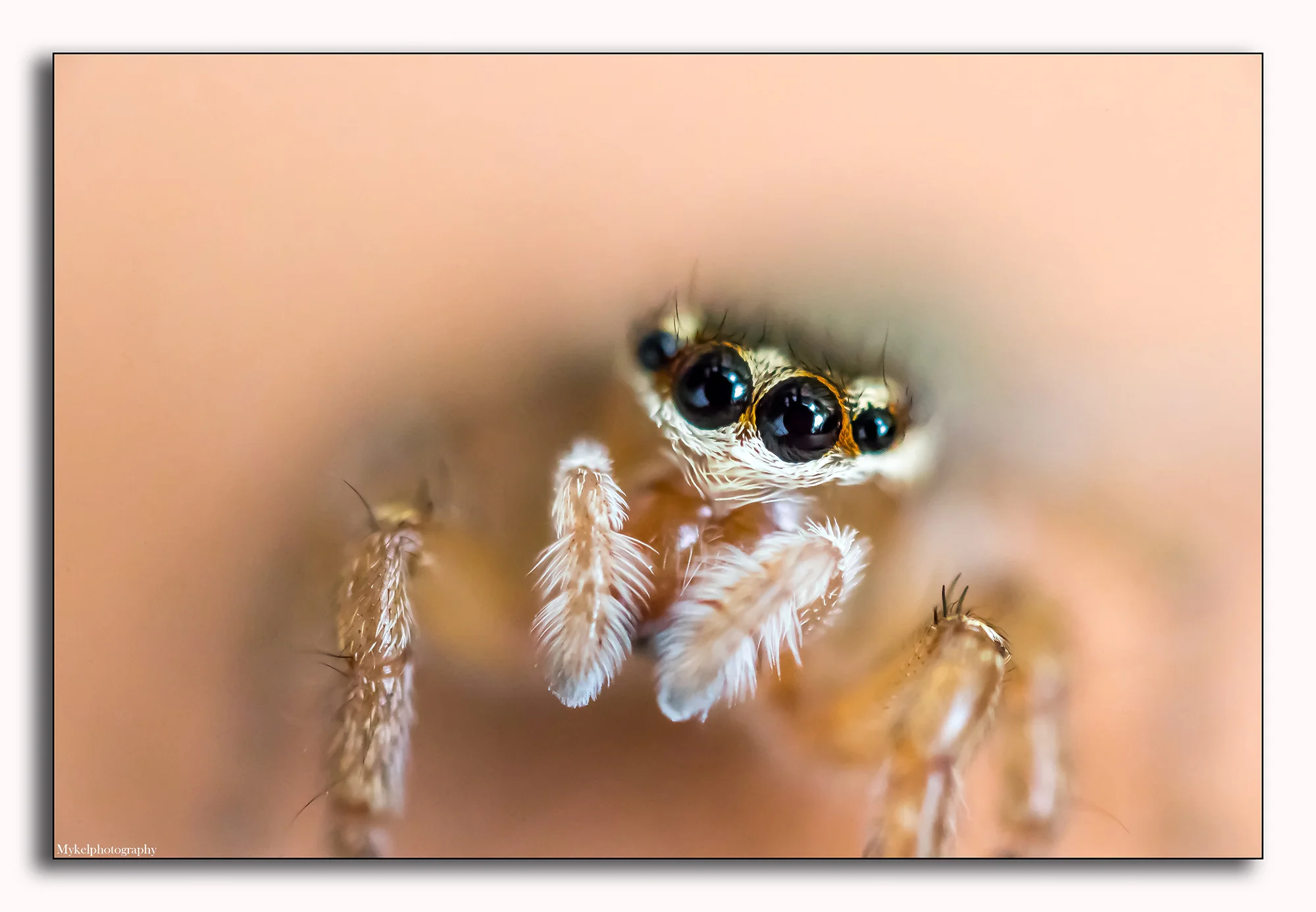 A59I1613-Edit.jpg