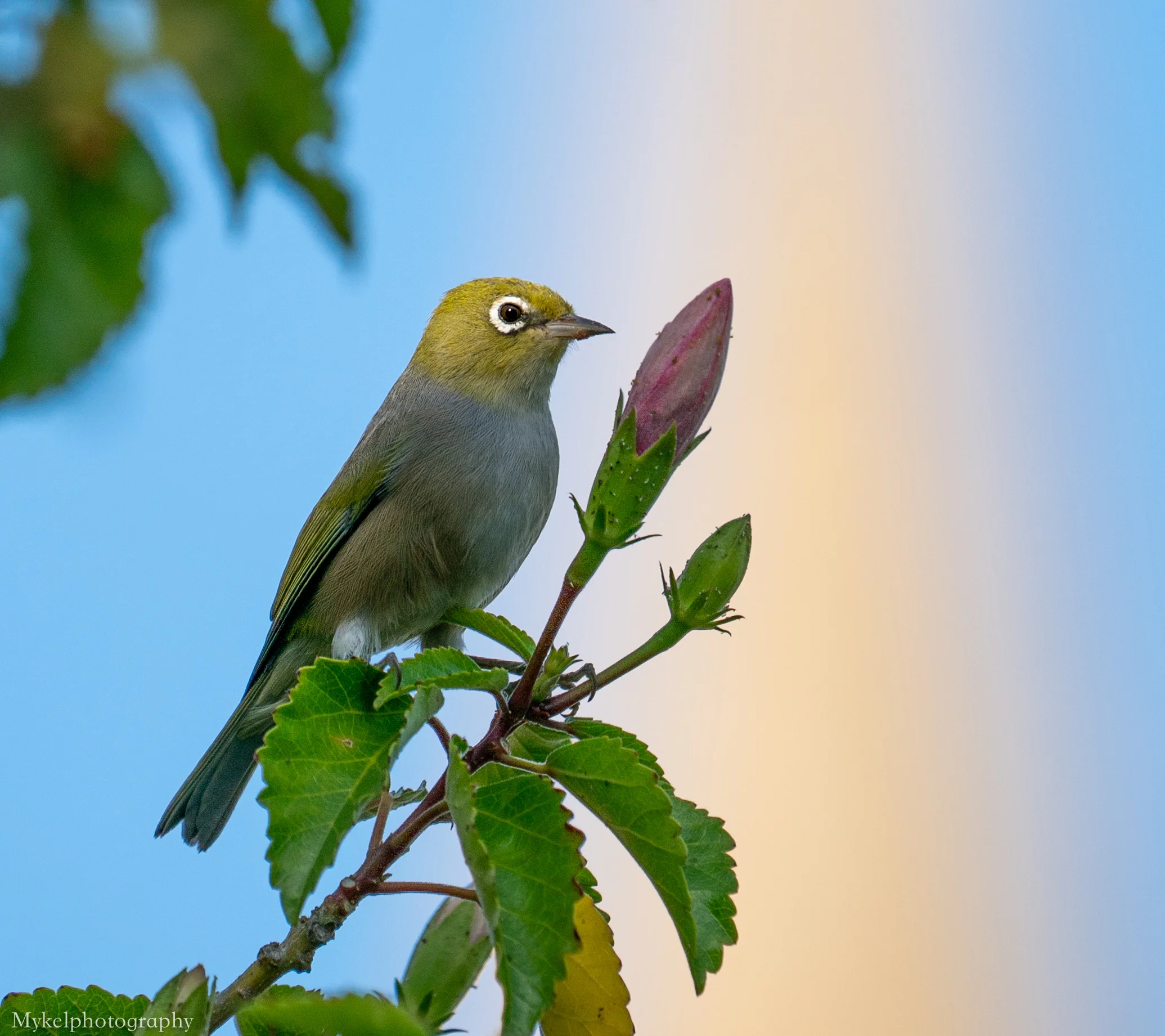 _DSC3152-Edit.jpg