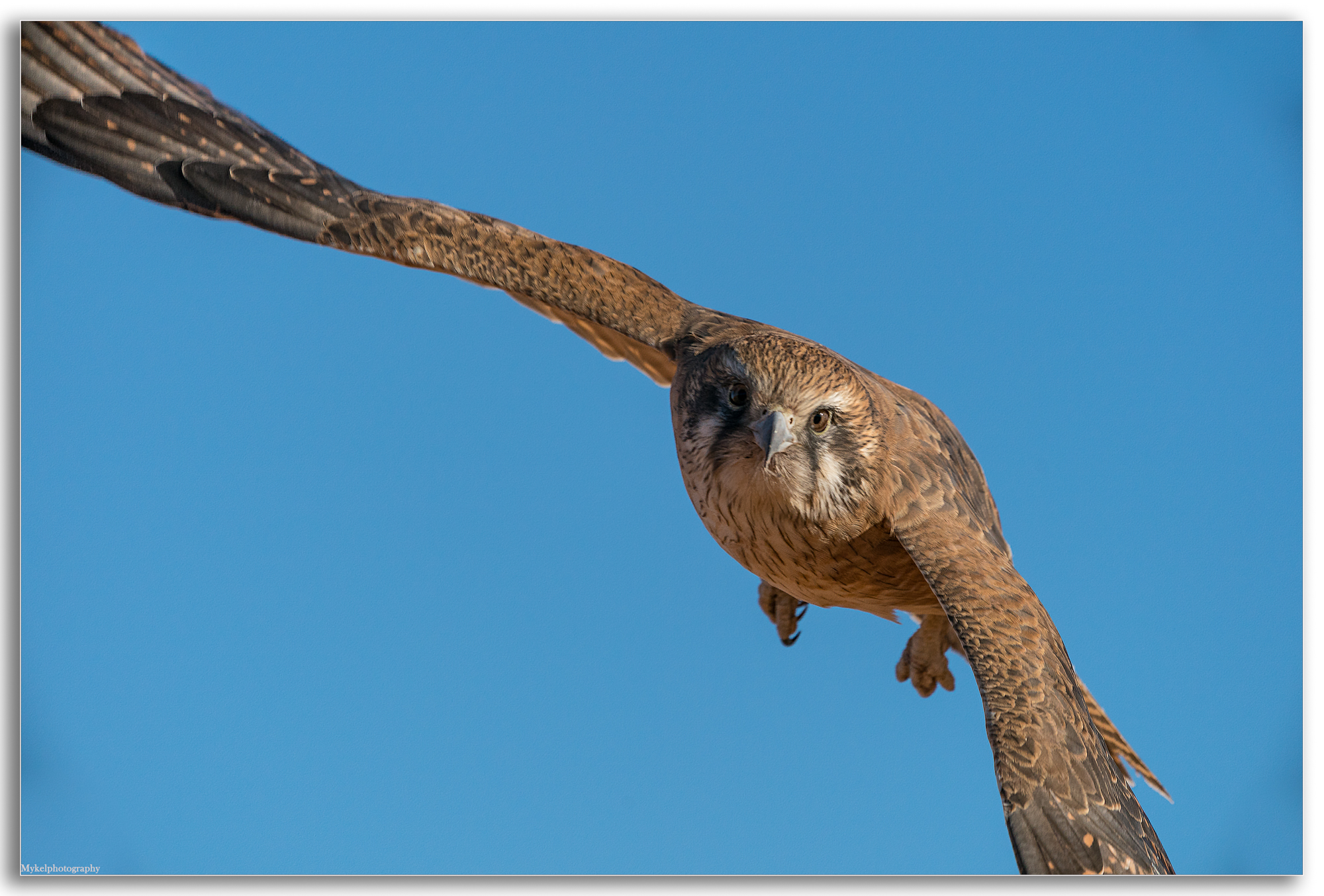 _DSC7519-Edit.jpg