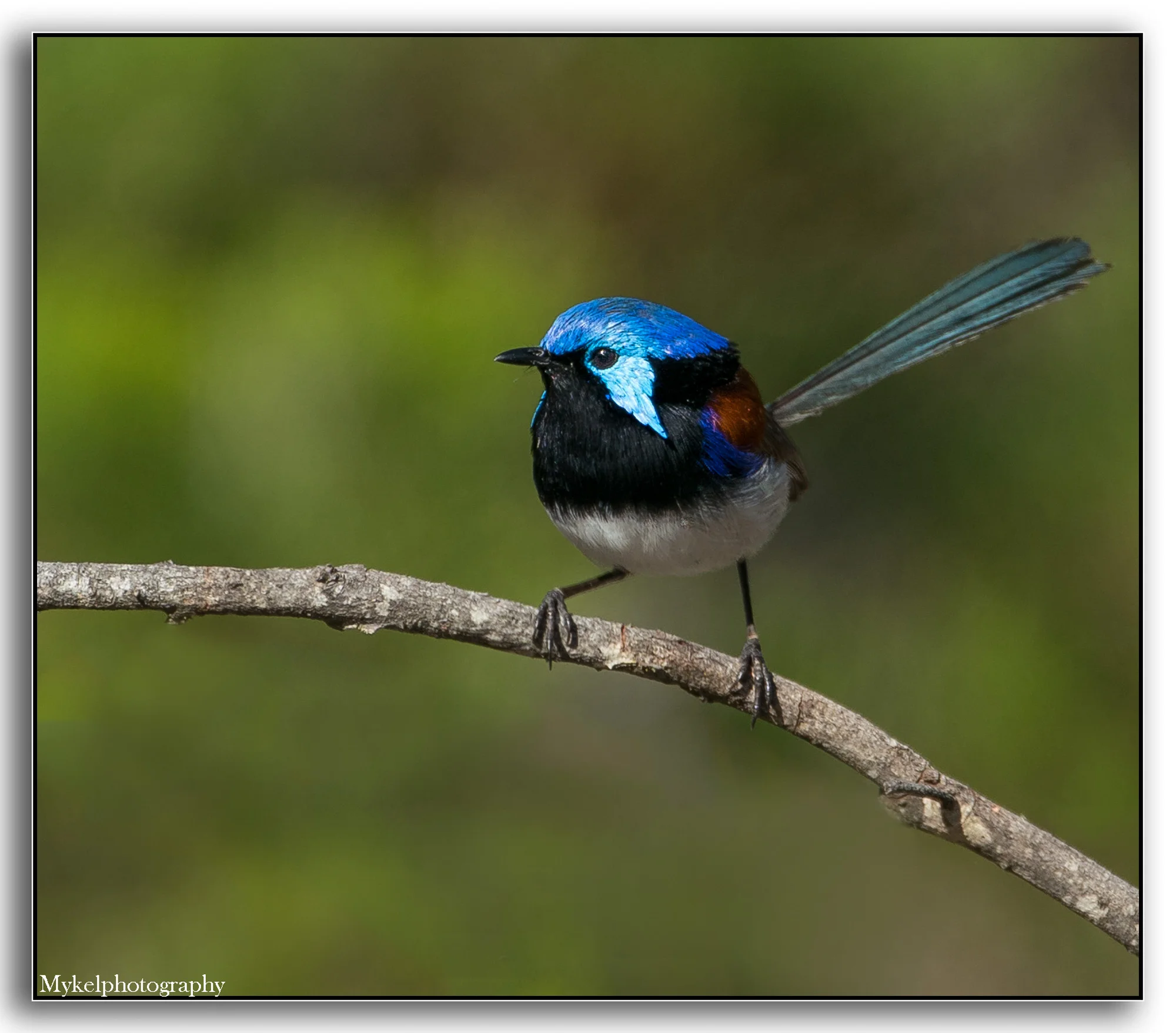 DSC01199-Edit.jpg
