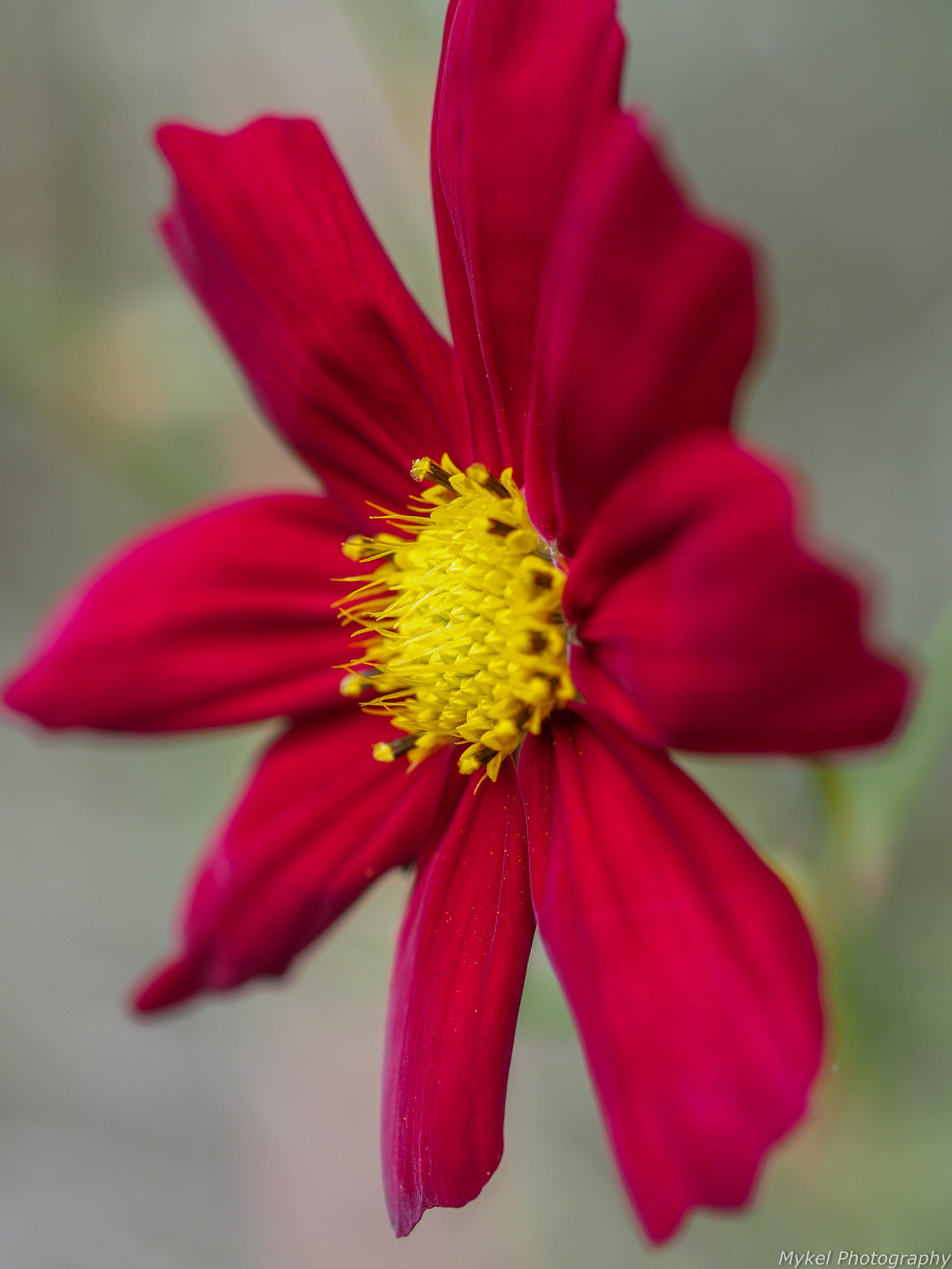 20150414-P4140025.jpg