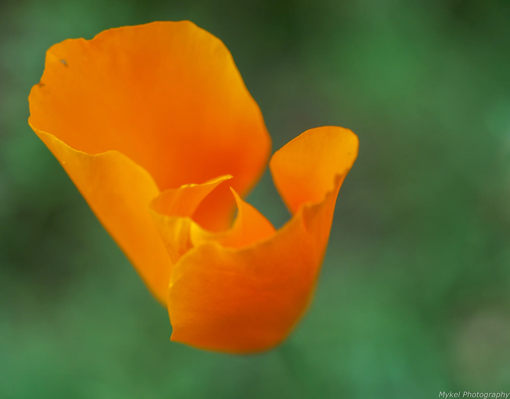 20150414-P4140032.jpg