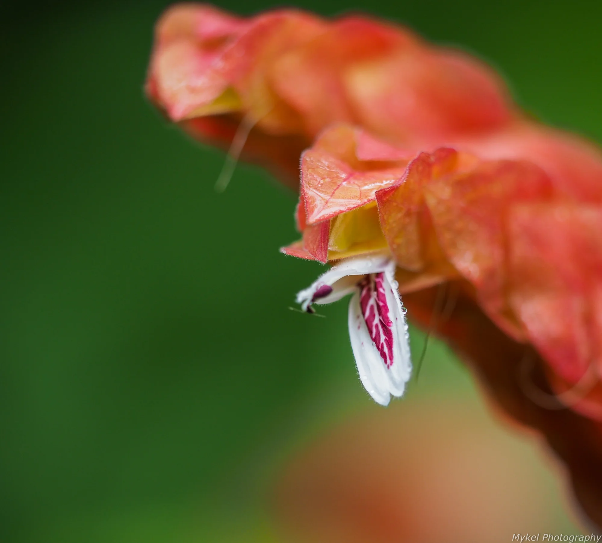 20150506-P5060144.jpg