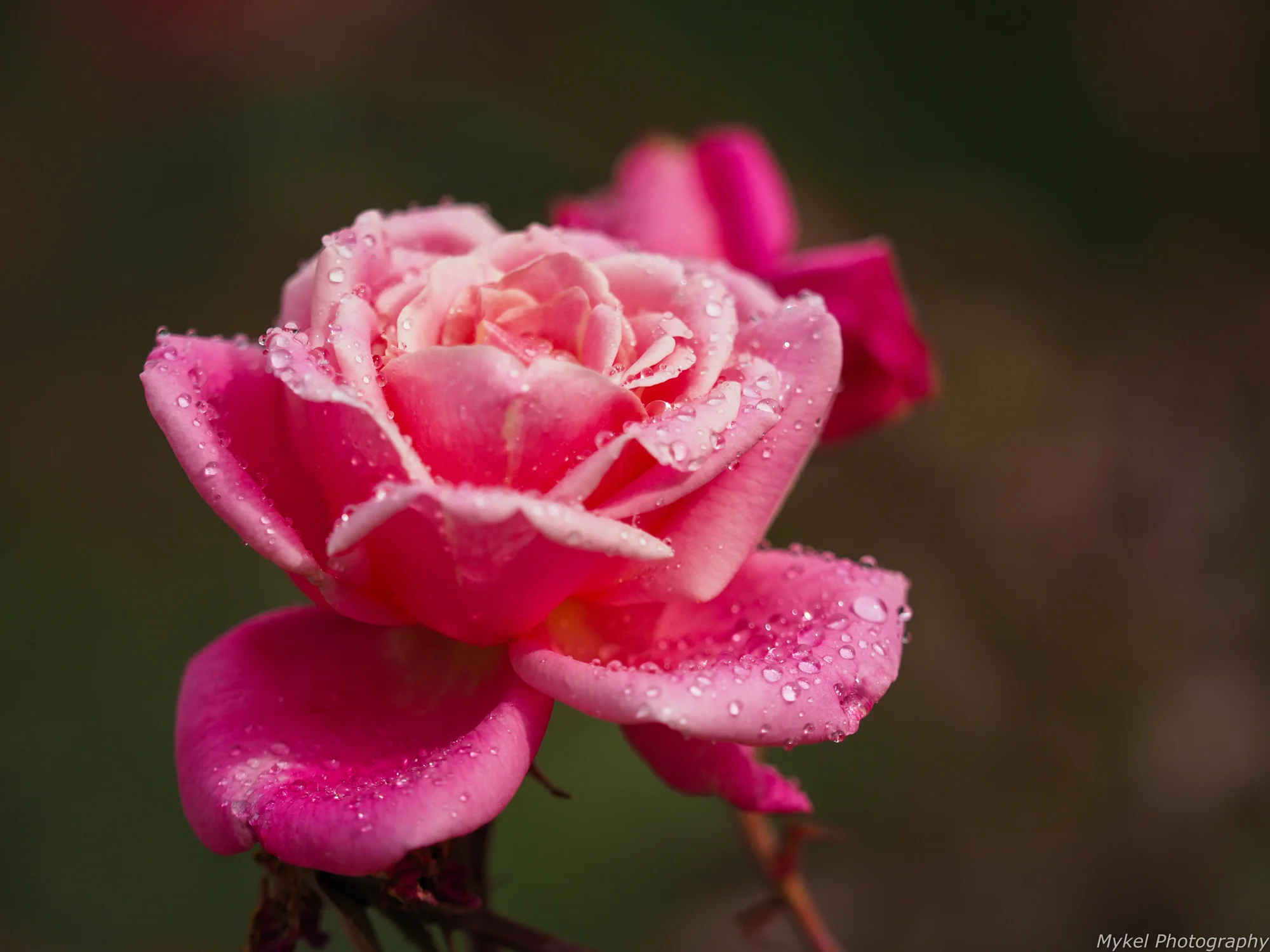 20150506-P5060174.jpg