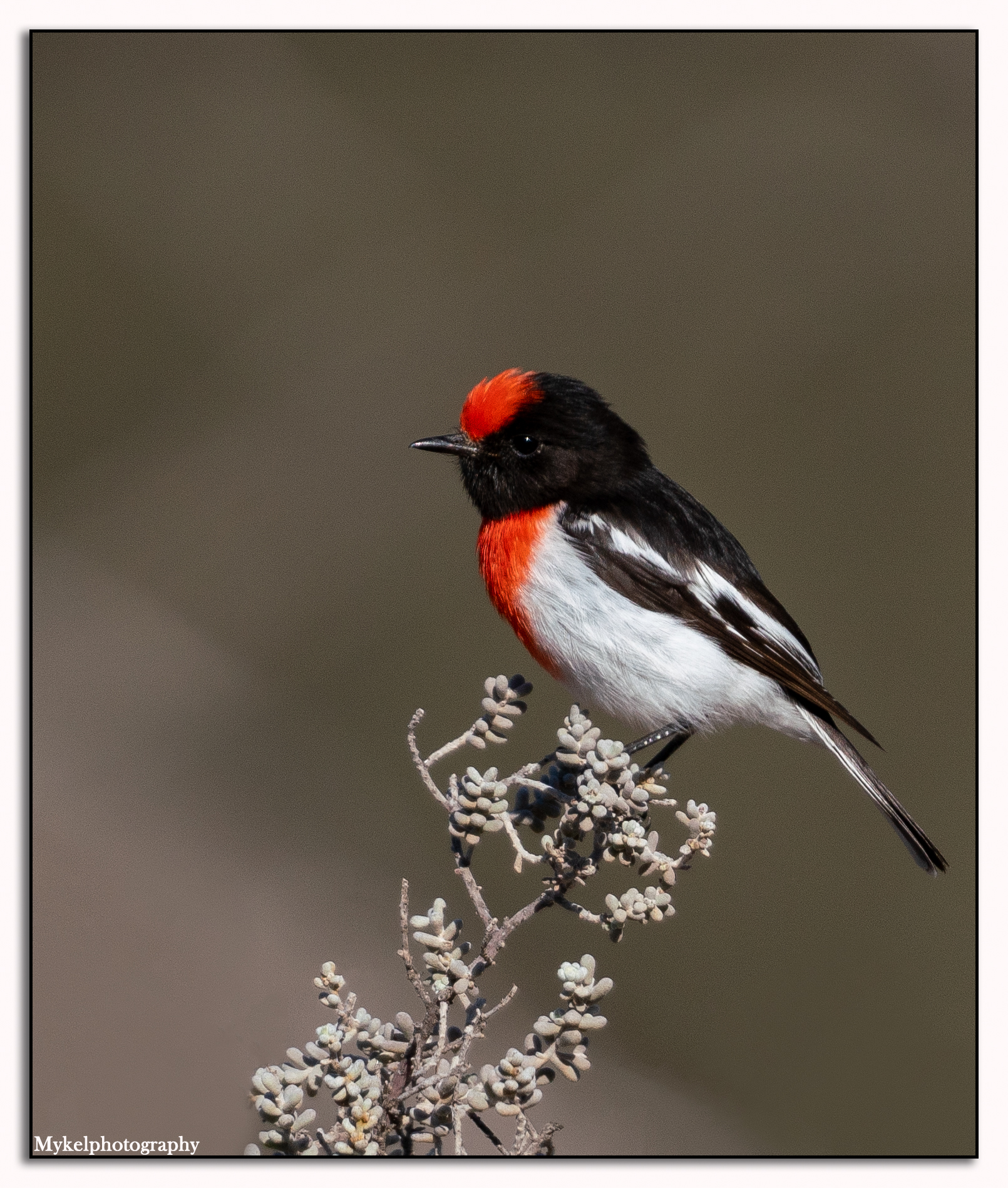 _DSC2496-Edit.jpg