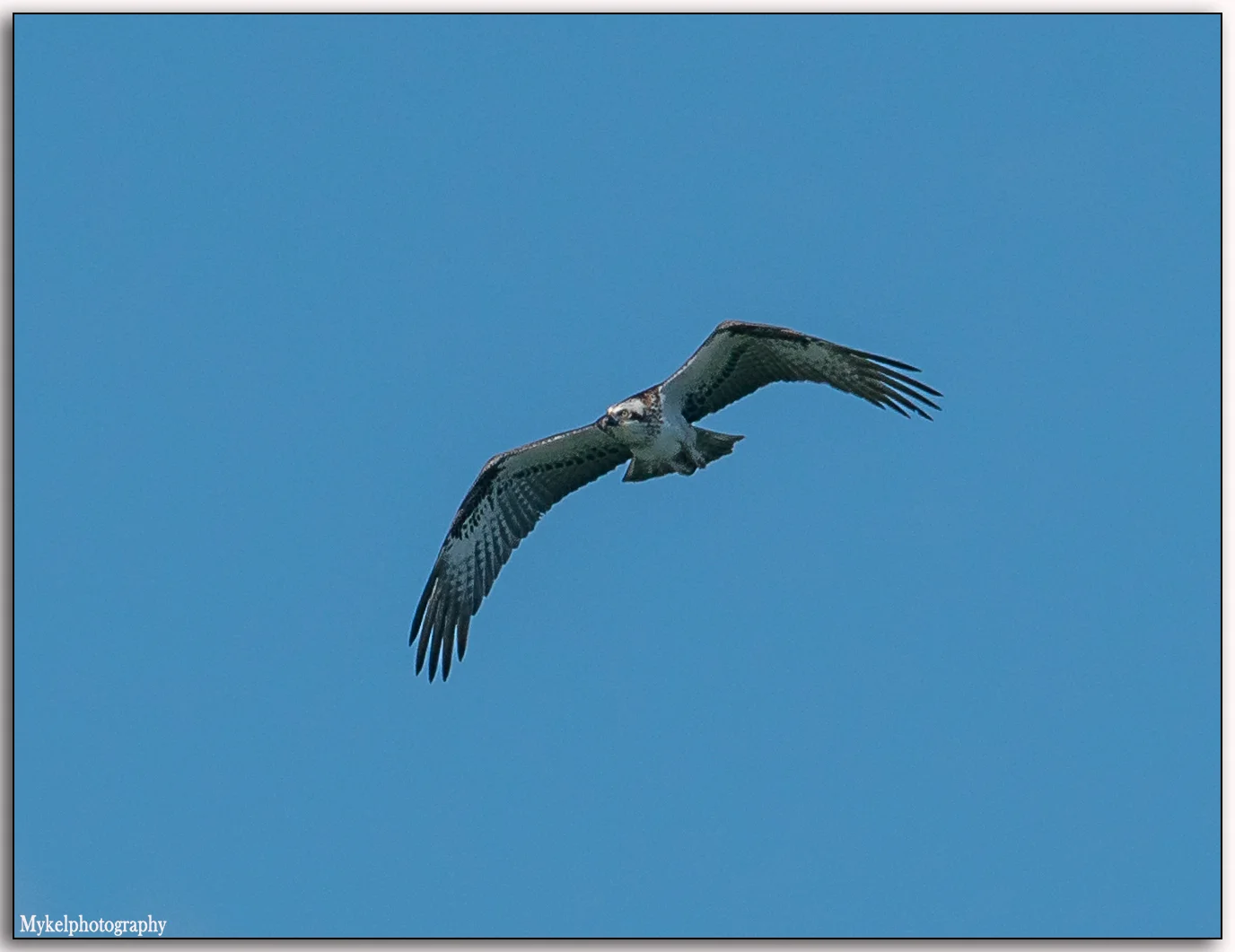 _DSC9523-Edit.jpg
