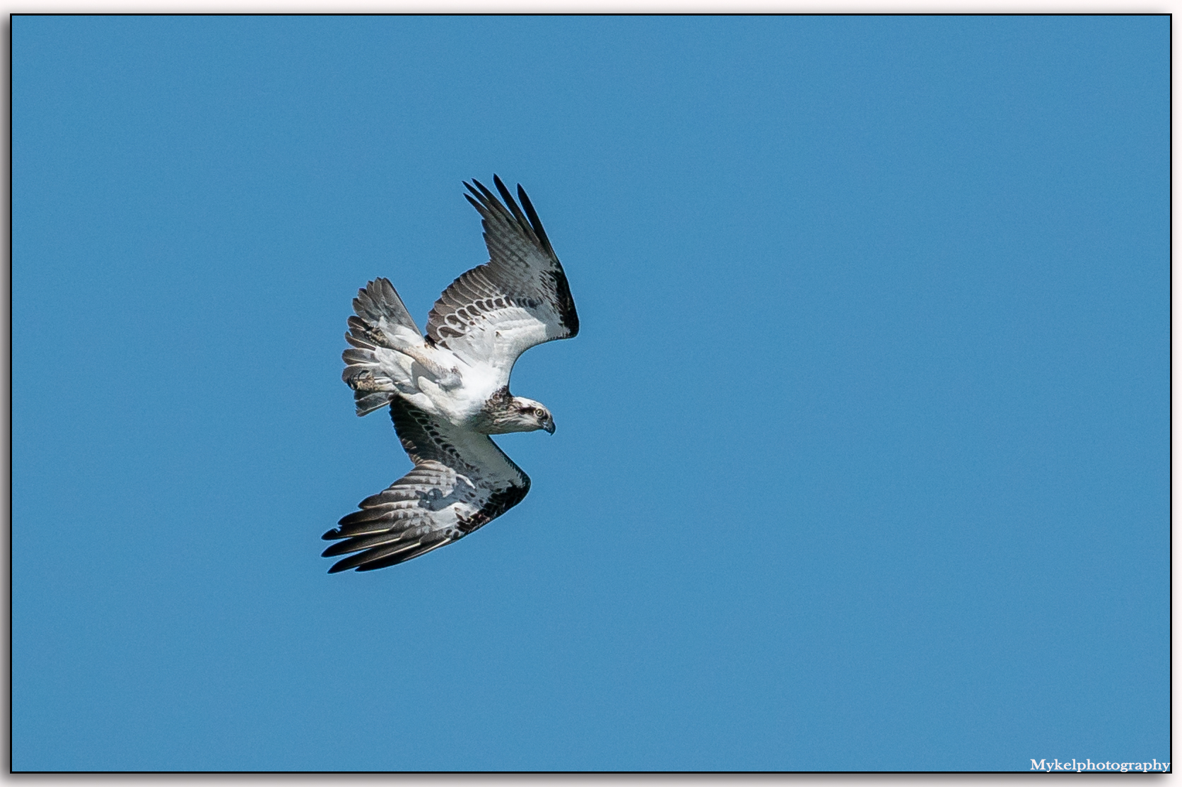 _DSC9458-Edit.jpg
