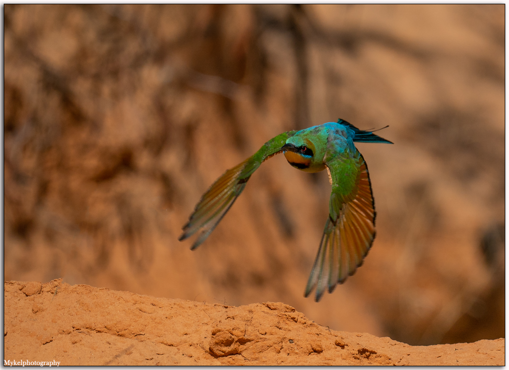 _DSC4777-Edit.jpg