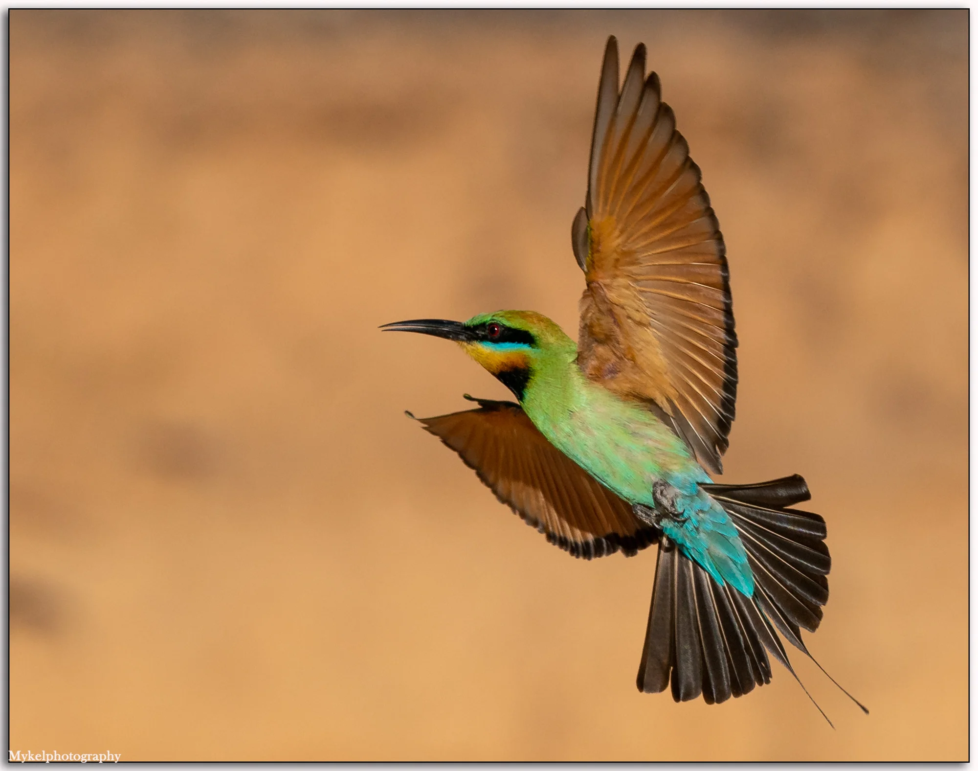 _DSC2123-Edit.jpg