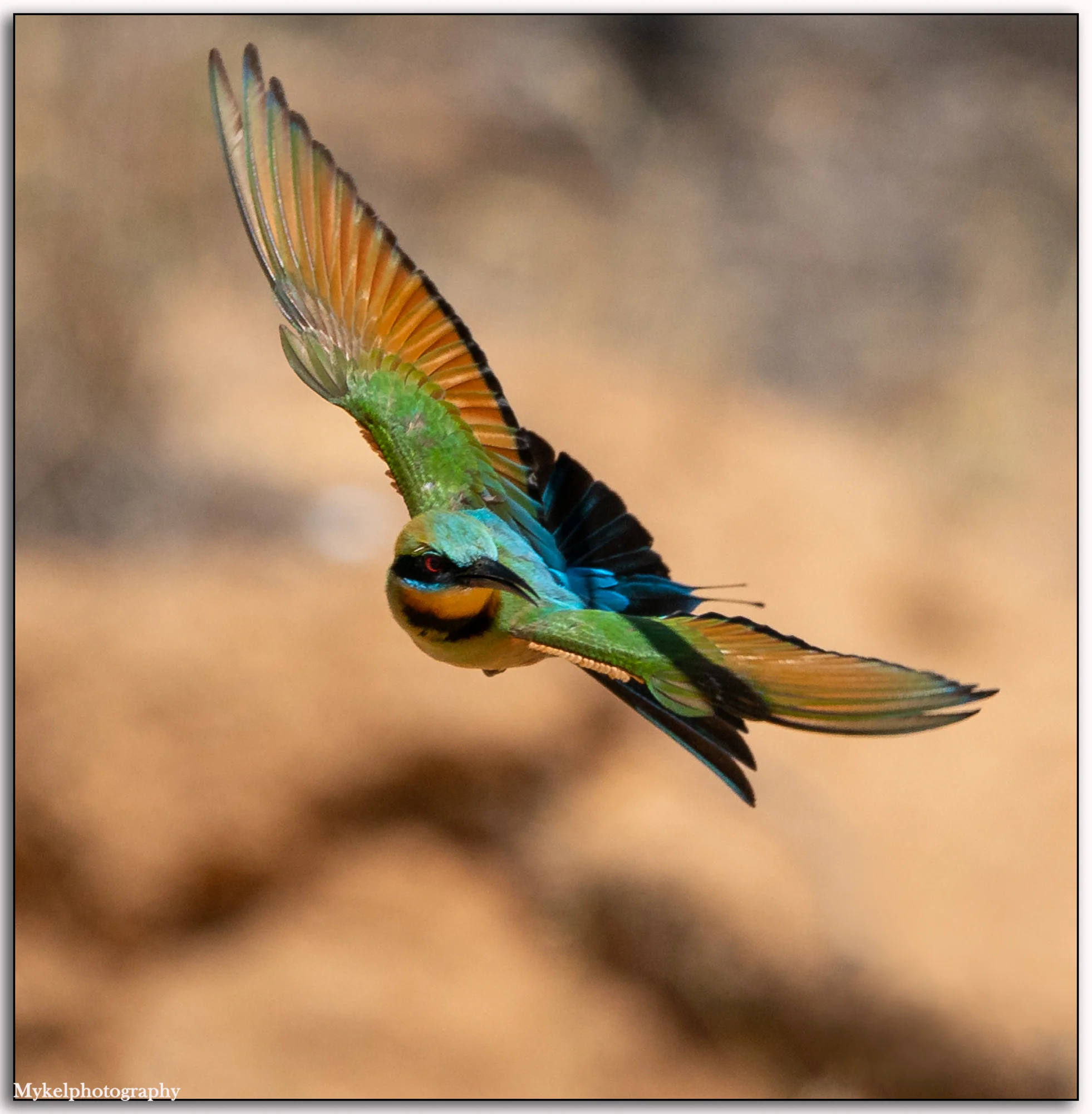 _DSC5227-Edit.jpg