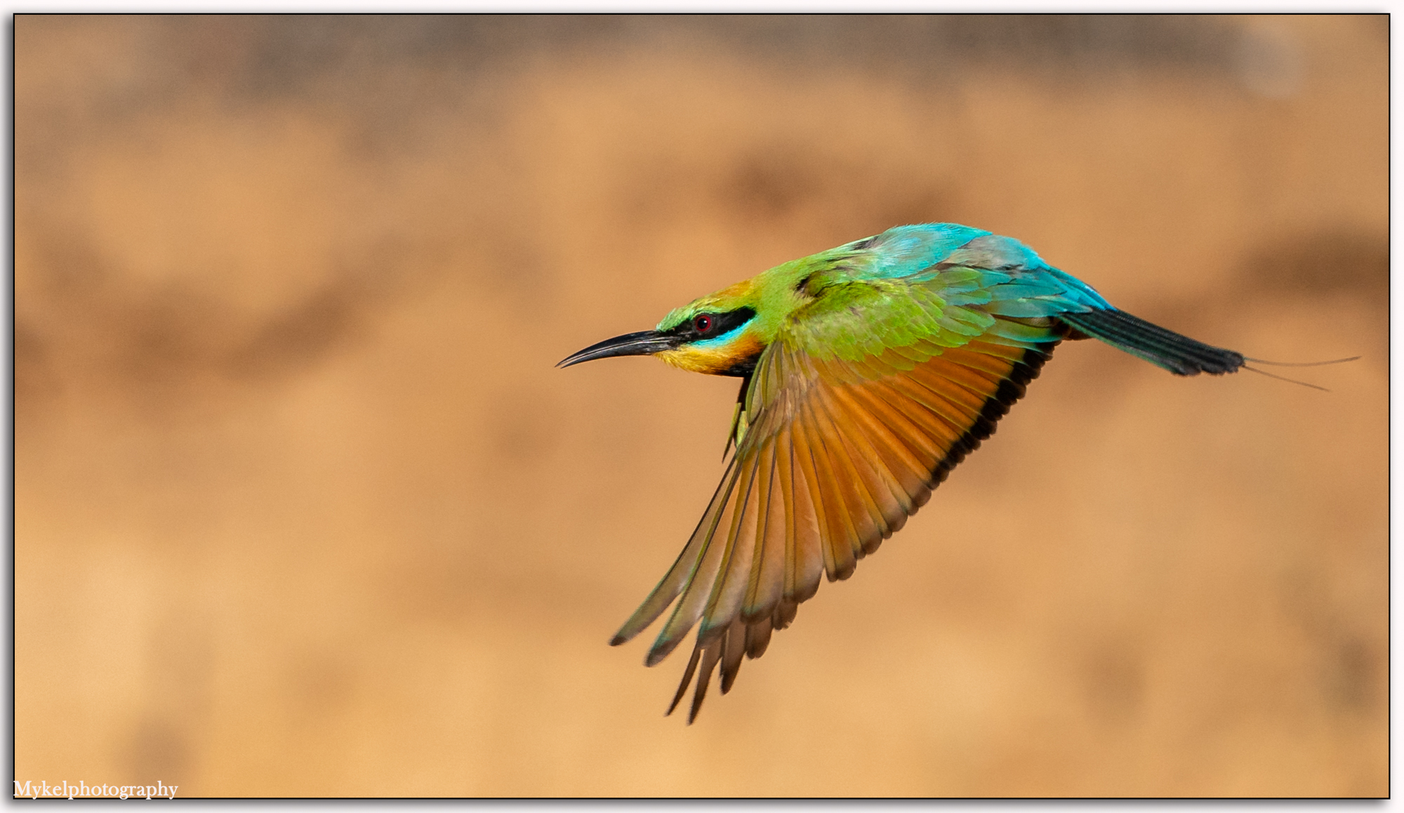 _DSC2120-Edit.jpg