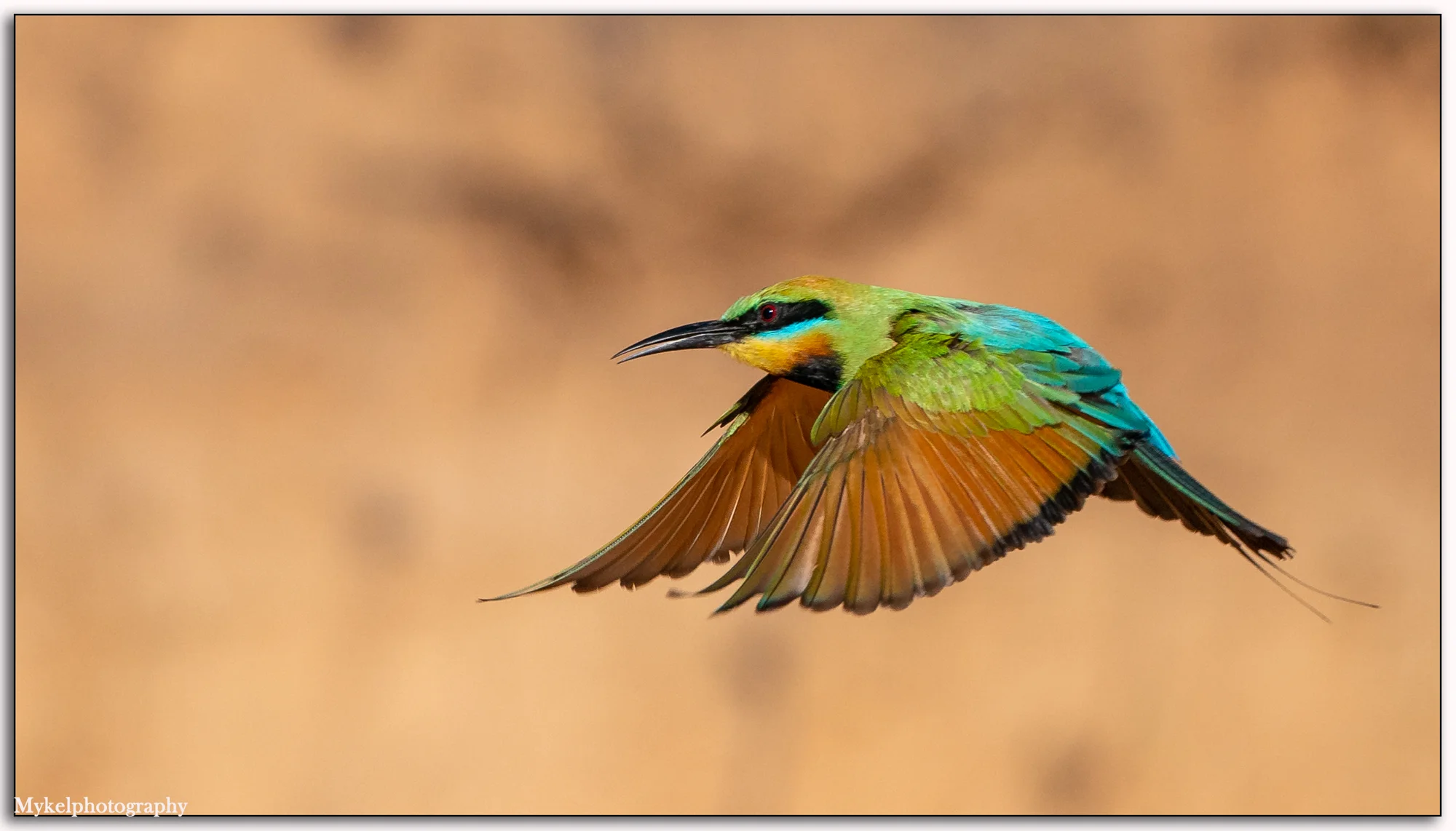 _DSC2121-Edit.jpg