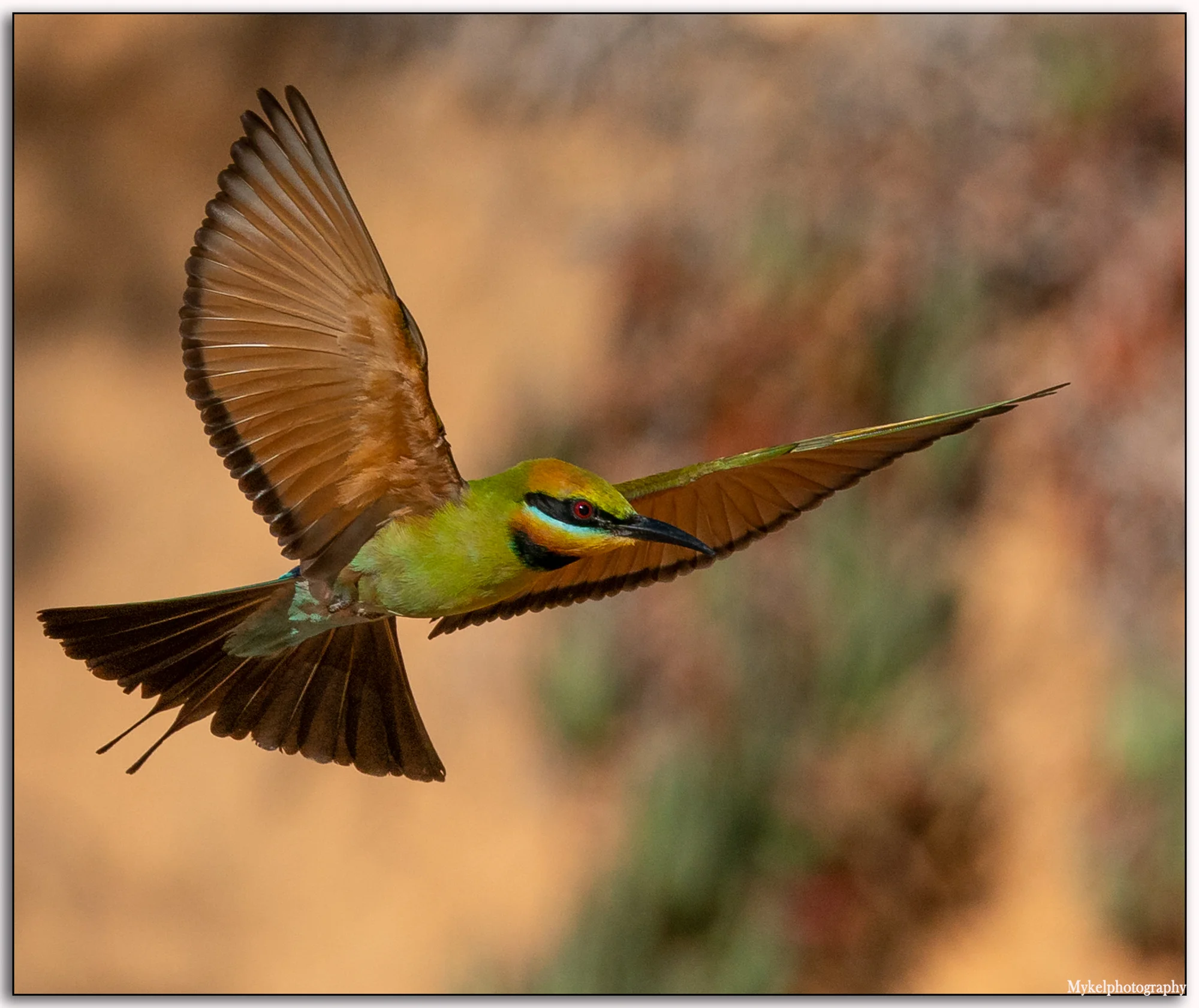 _DSC3000-Edit.jpg