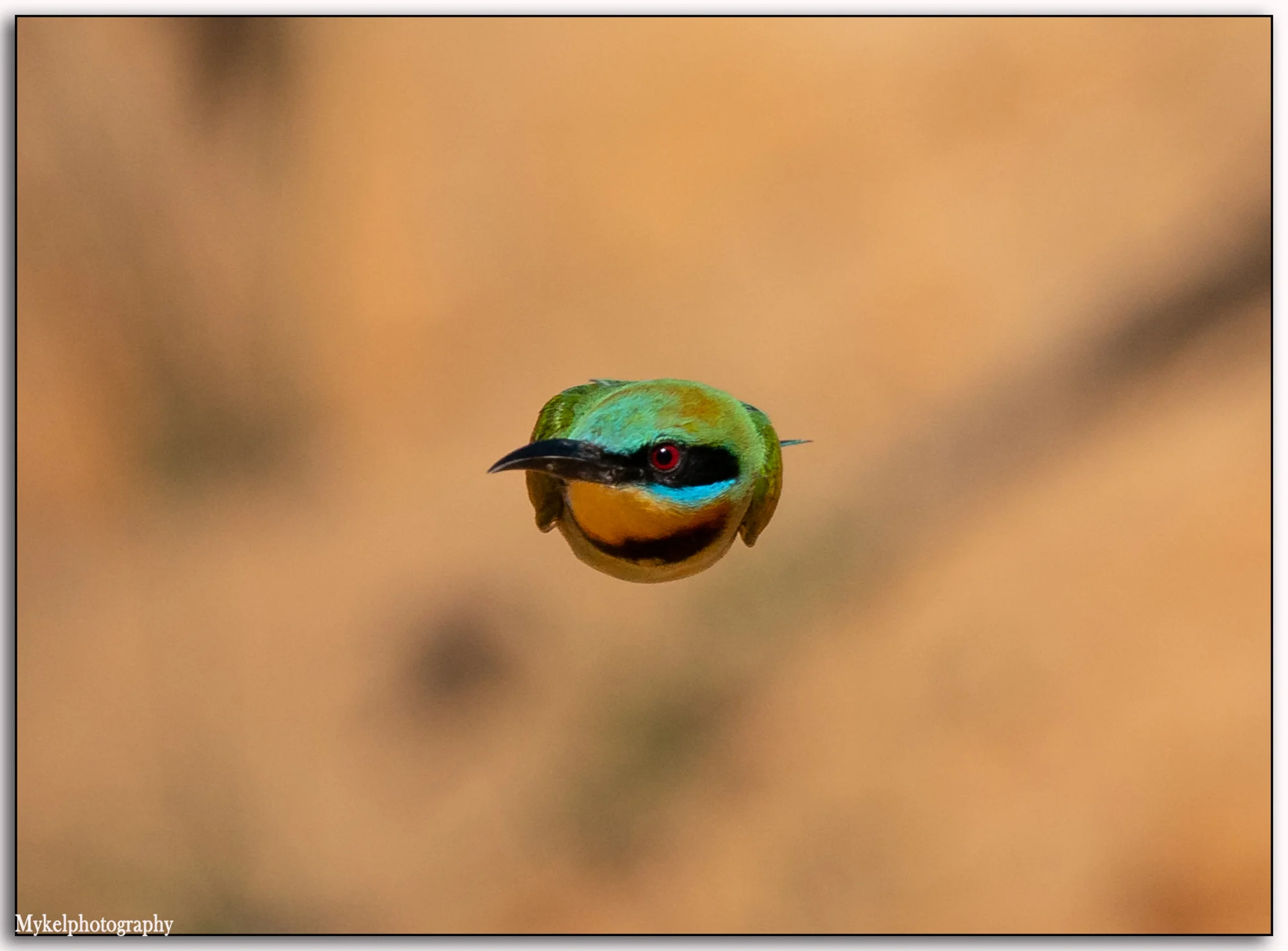 _DSC4422-Edit.jpg