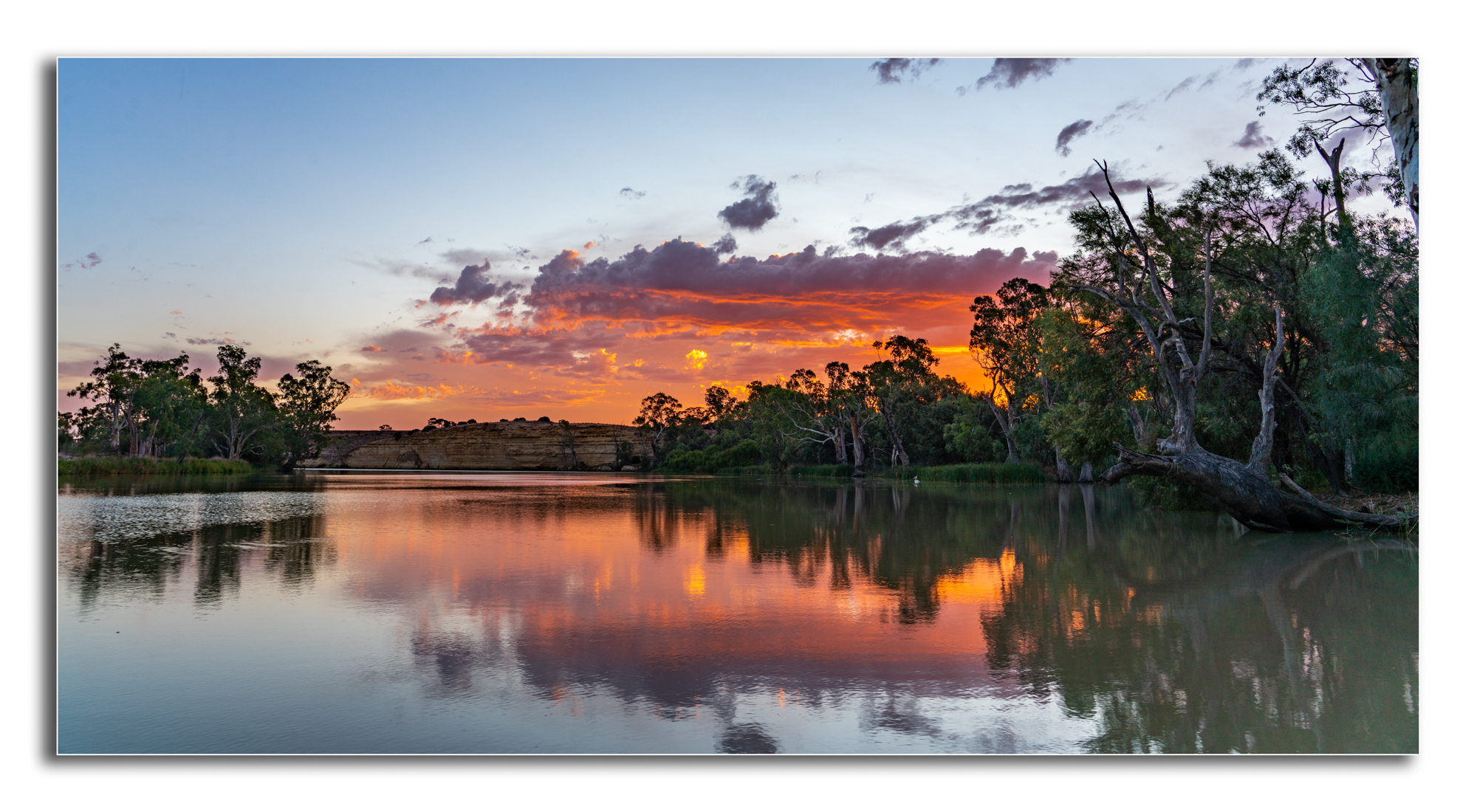 _DSC5433-Edit-2.jpg