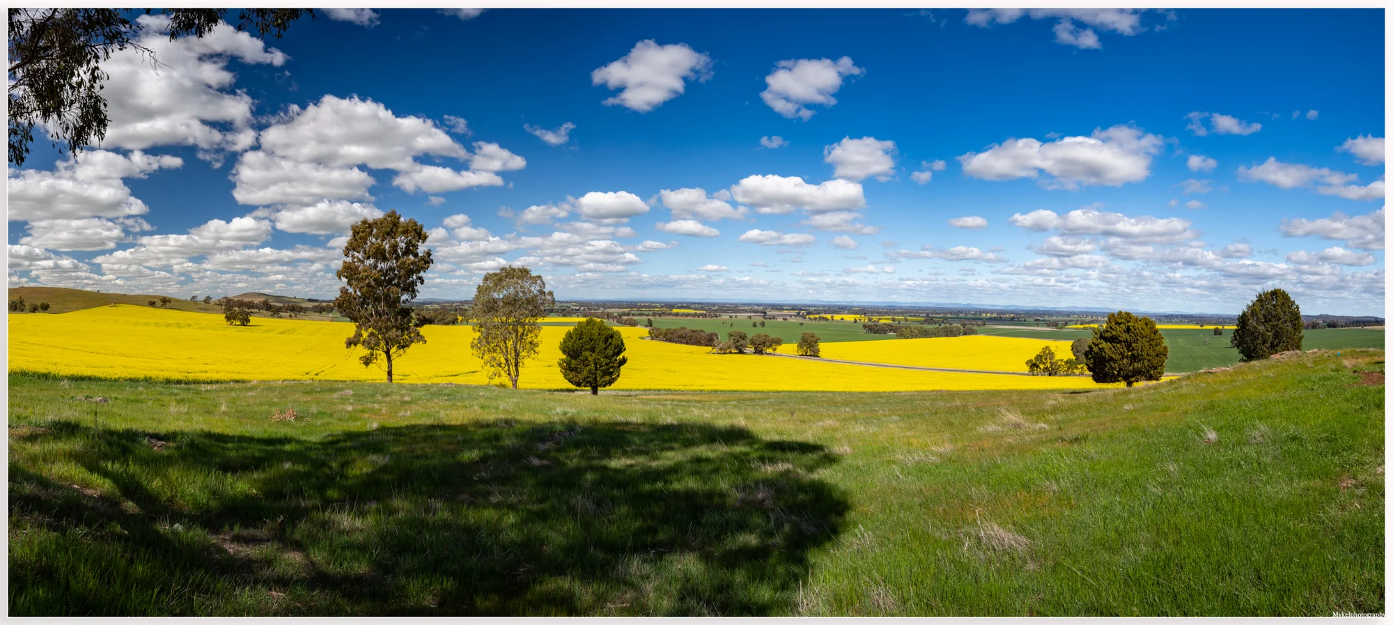 _DSC0081-Pano-Edit.jpg