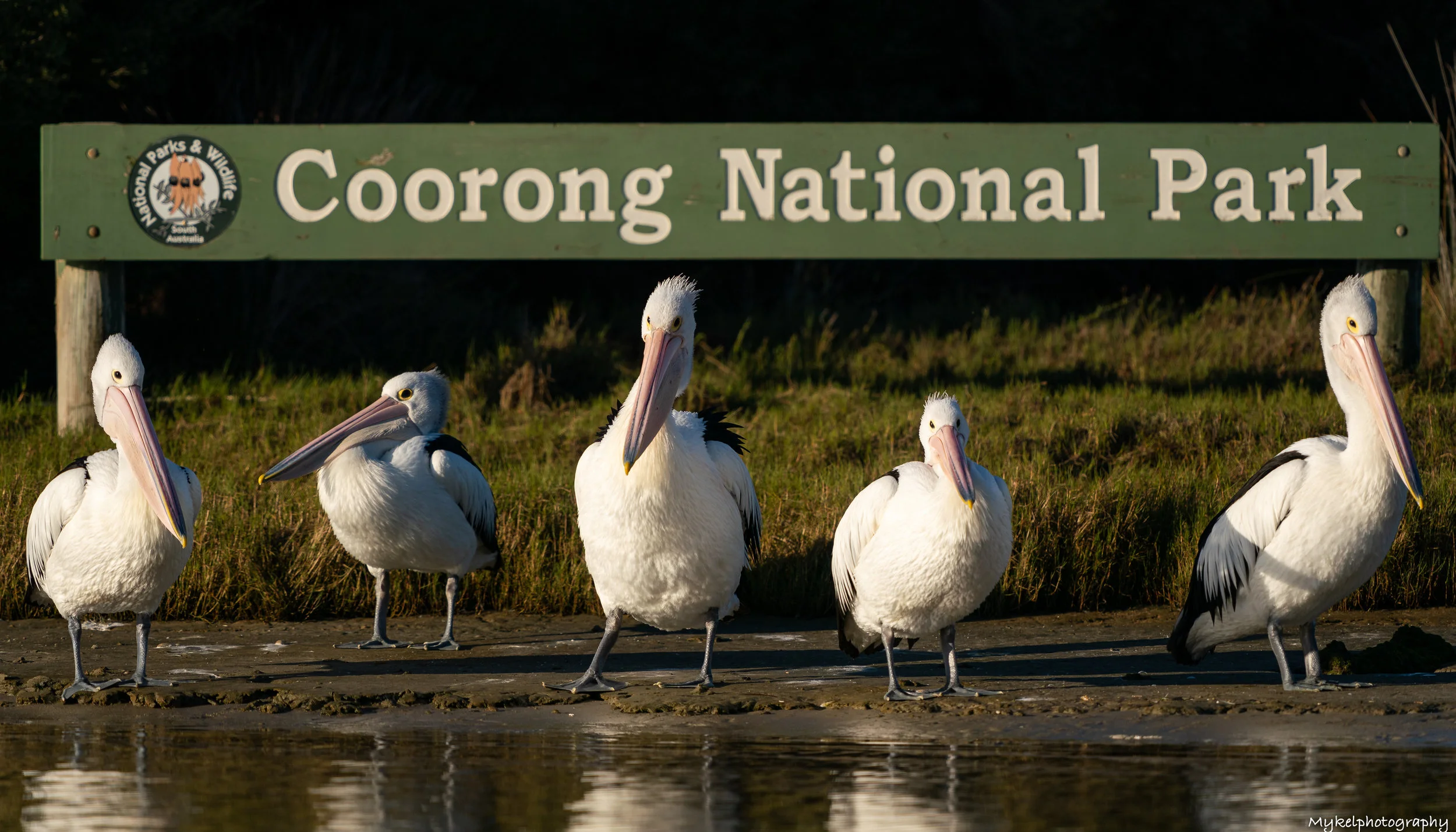 Coorong National Park — Mykelphotography