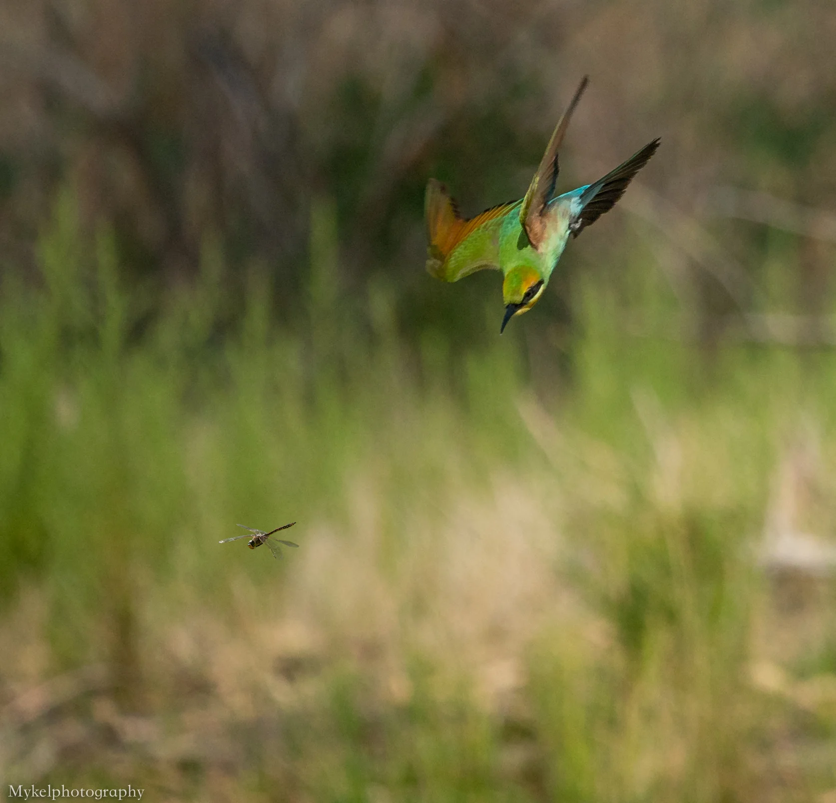 Hot pursuit!