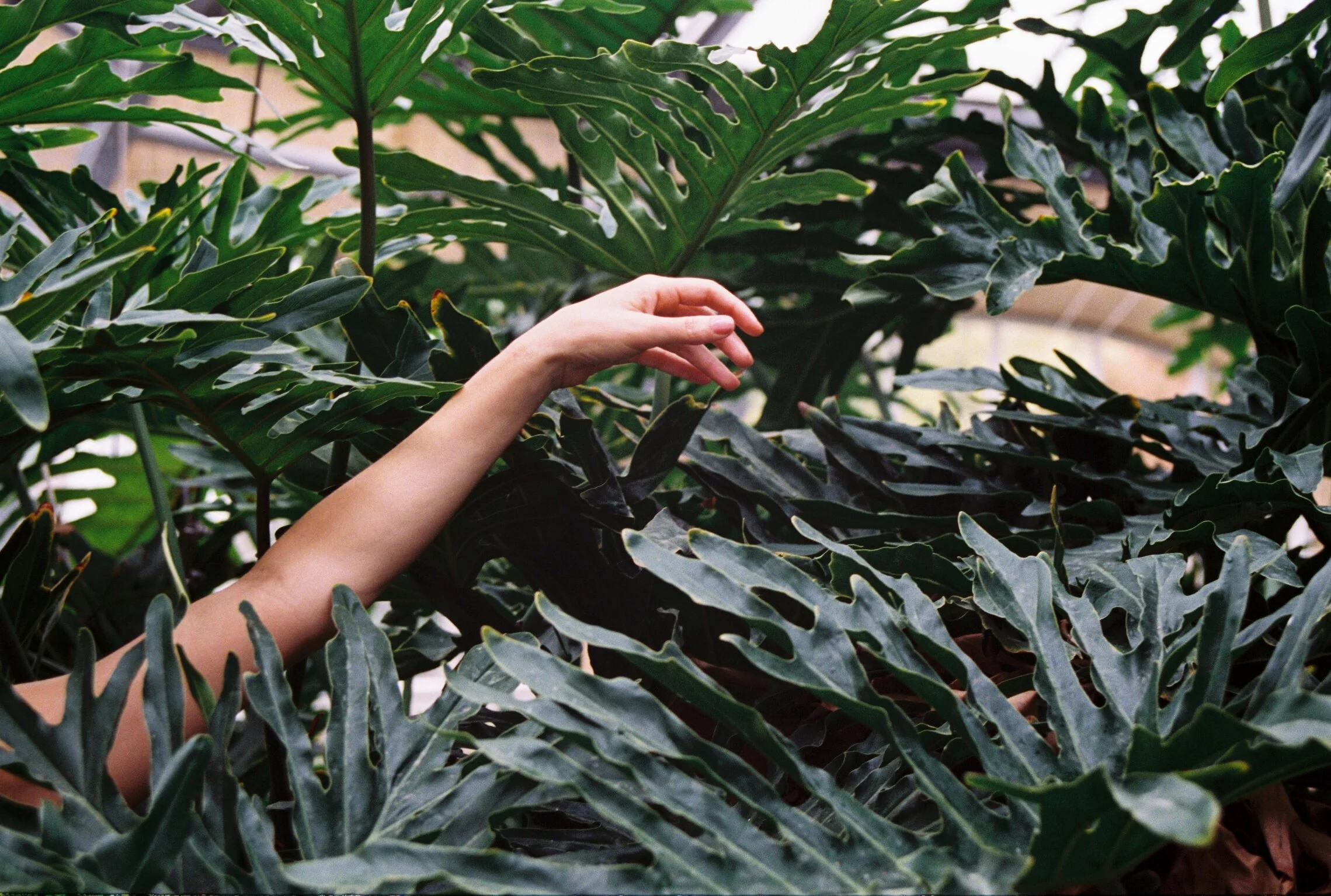 the light of the soul - living in a conscious body &amp; mind