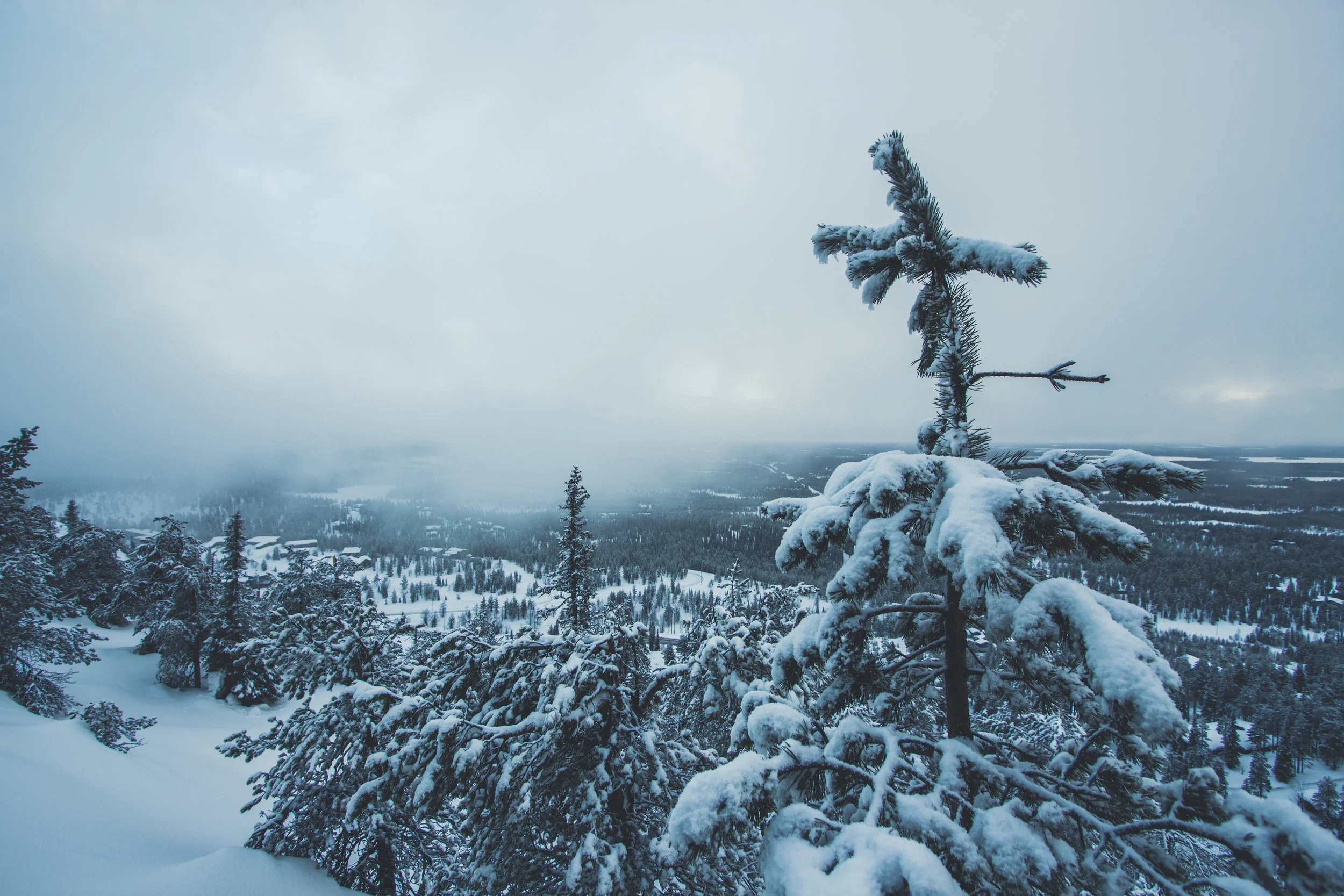 Ruka Landscape-6.jpg