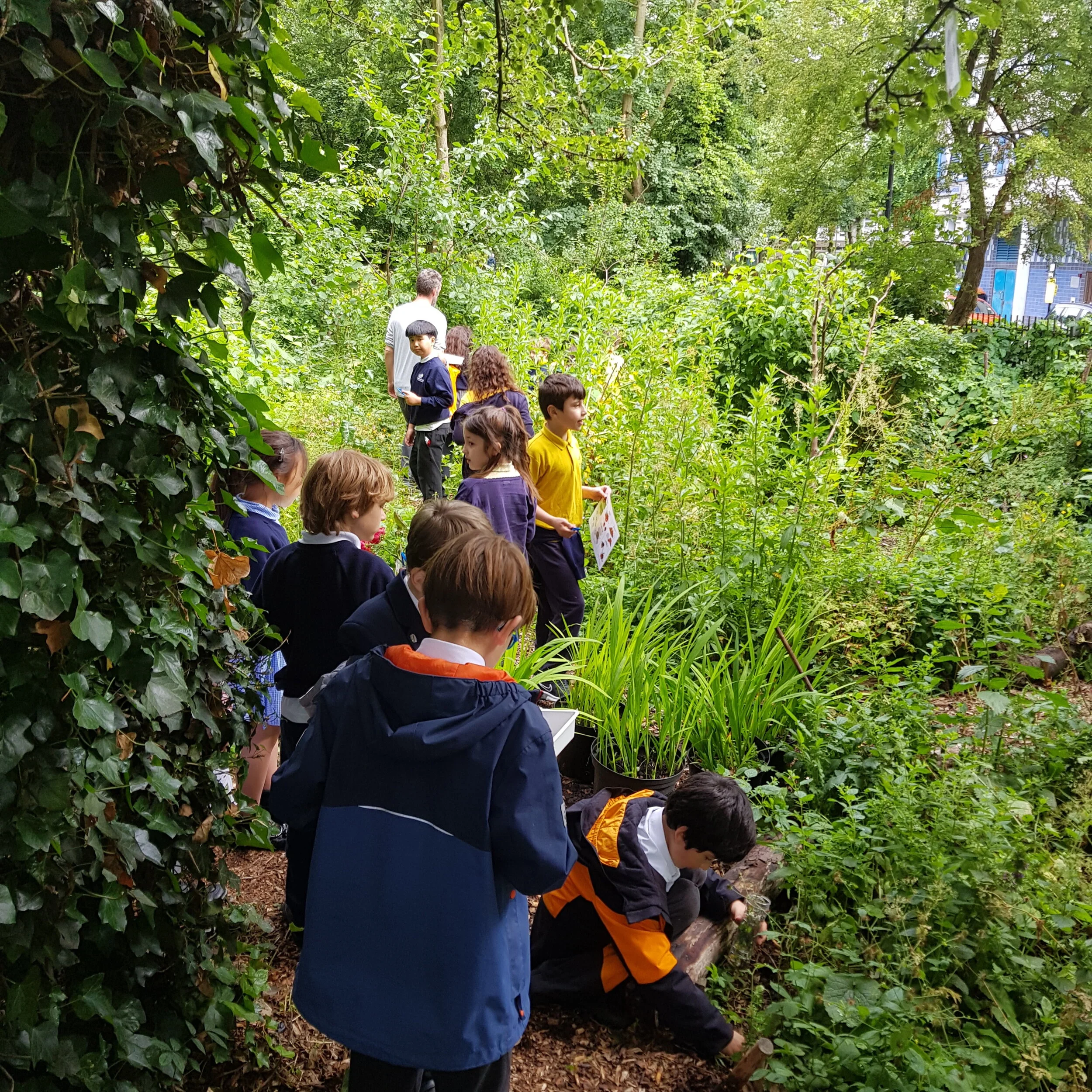 Floating Classroom to pilot Forest School programme in North Westminster